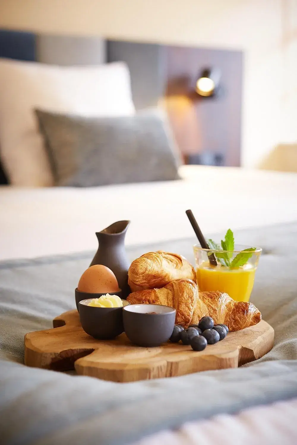 Comfort Twin Room in Landgoed De Uitkijk Hellendoorn Comfort Twin Room in Landgoed De Uitkijk Hellendoorn