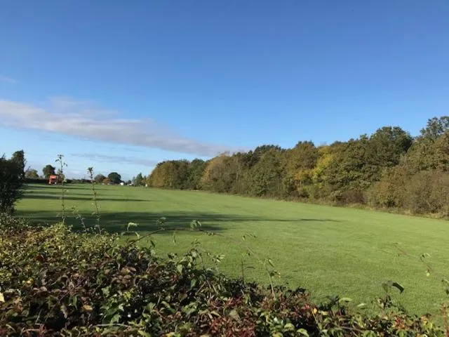 Natural landscape in Silverstone Golf Club And Hotel