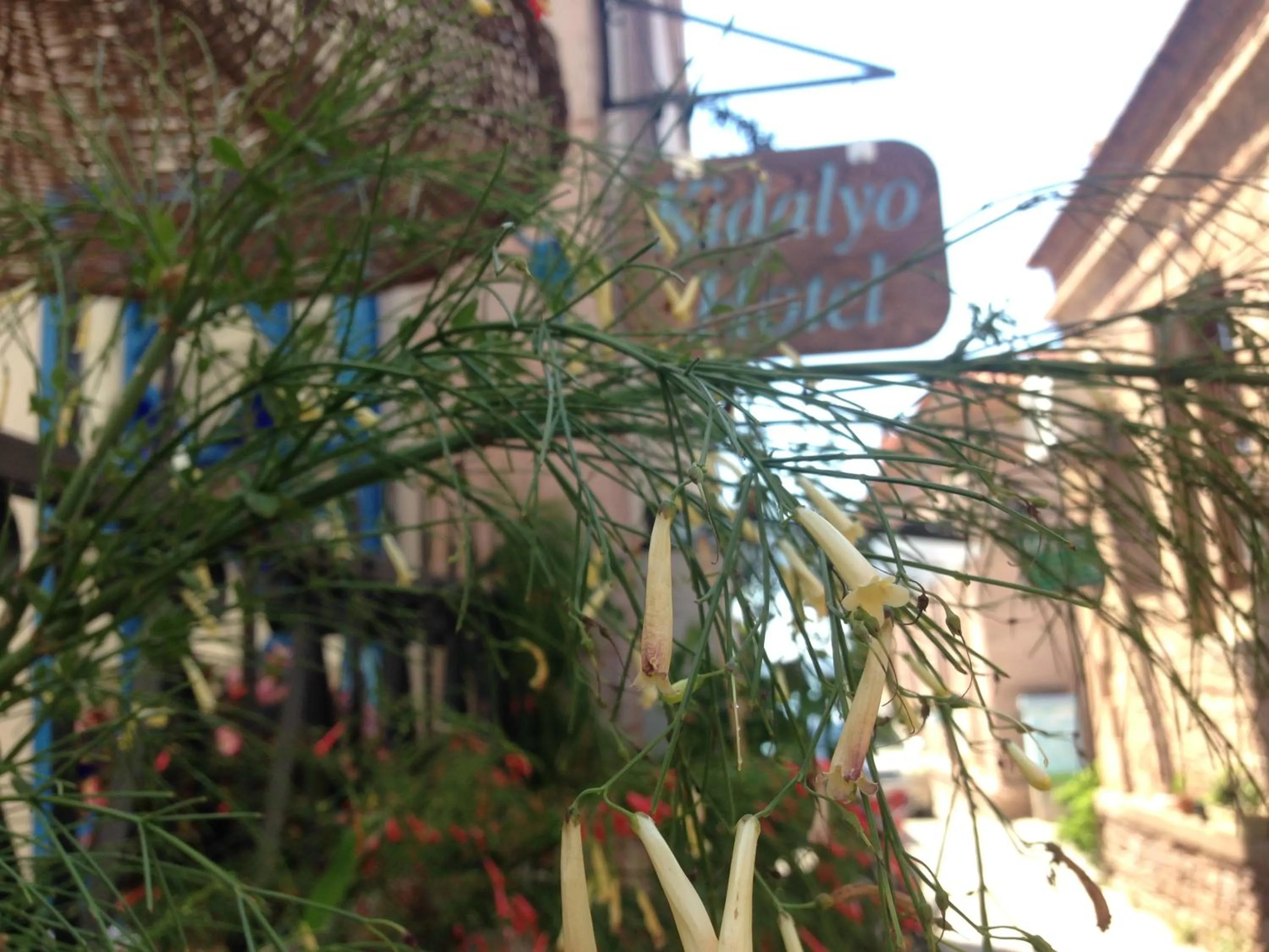 Sunset in Kidalyo Hotel - Special Category