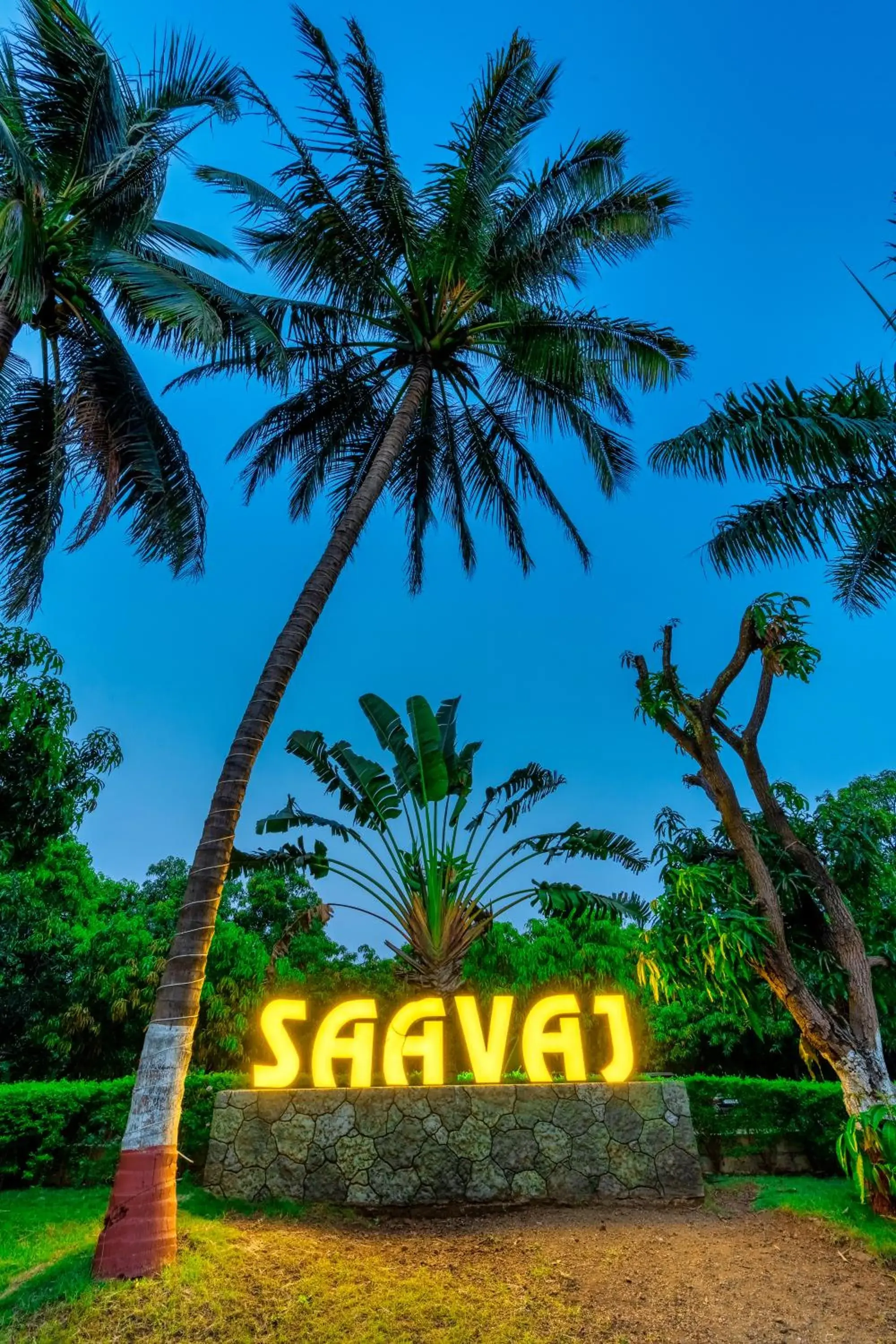 Small Double Room in Saavaj Resort, Sasan Gir - Where Wilderness Meets Luxury Small Double Room in Saavaj Resort, Sasan Gir - Where Wilderness Meets Luxury