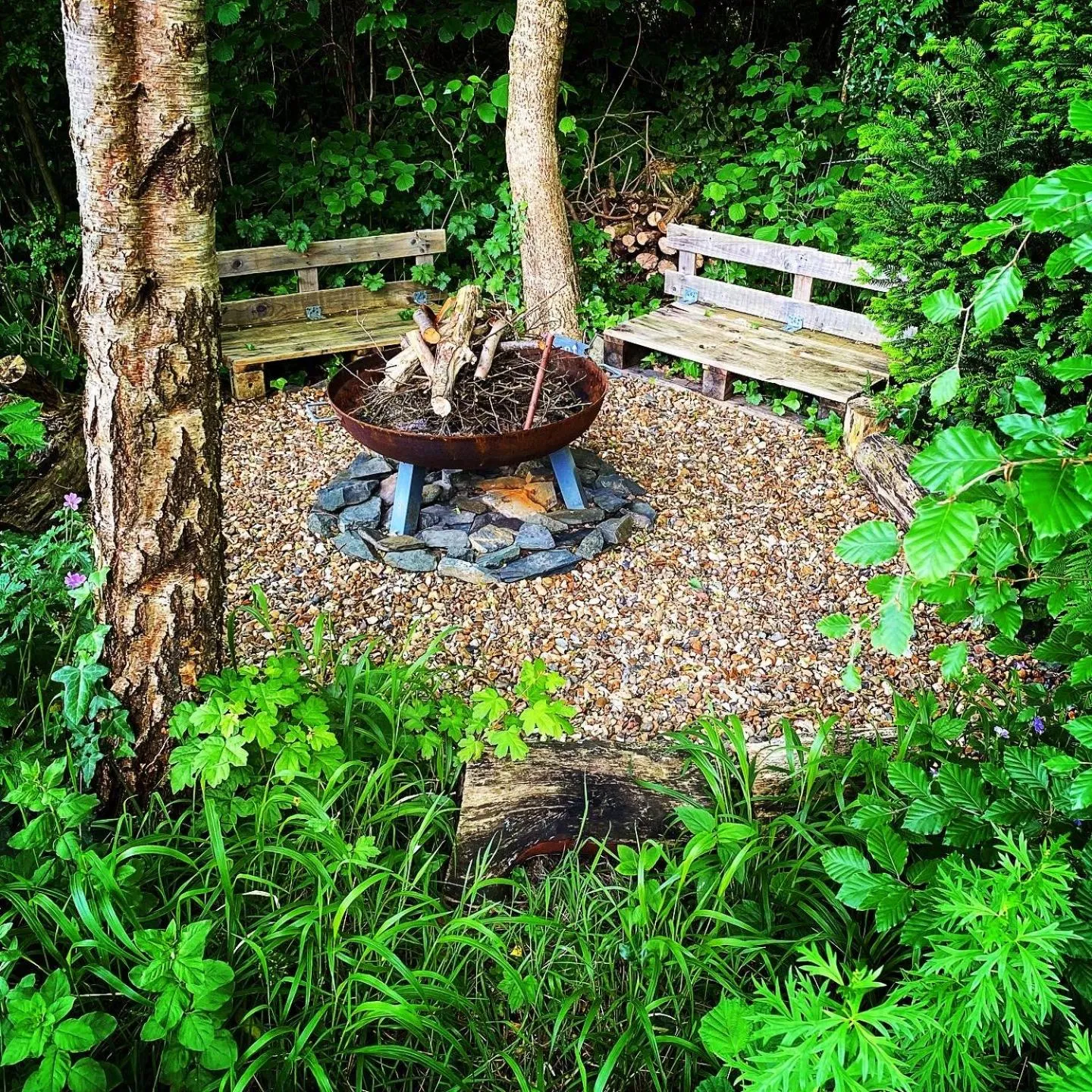 Garden in Crafnant House - Bed & Breakfast