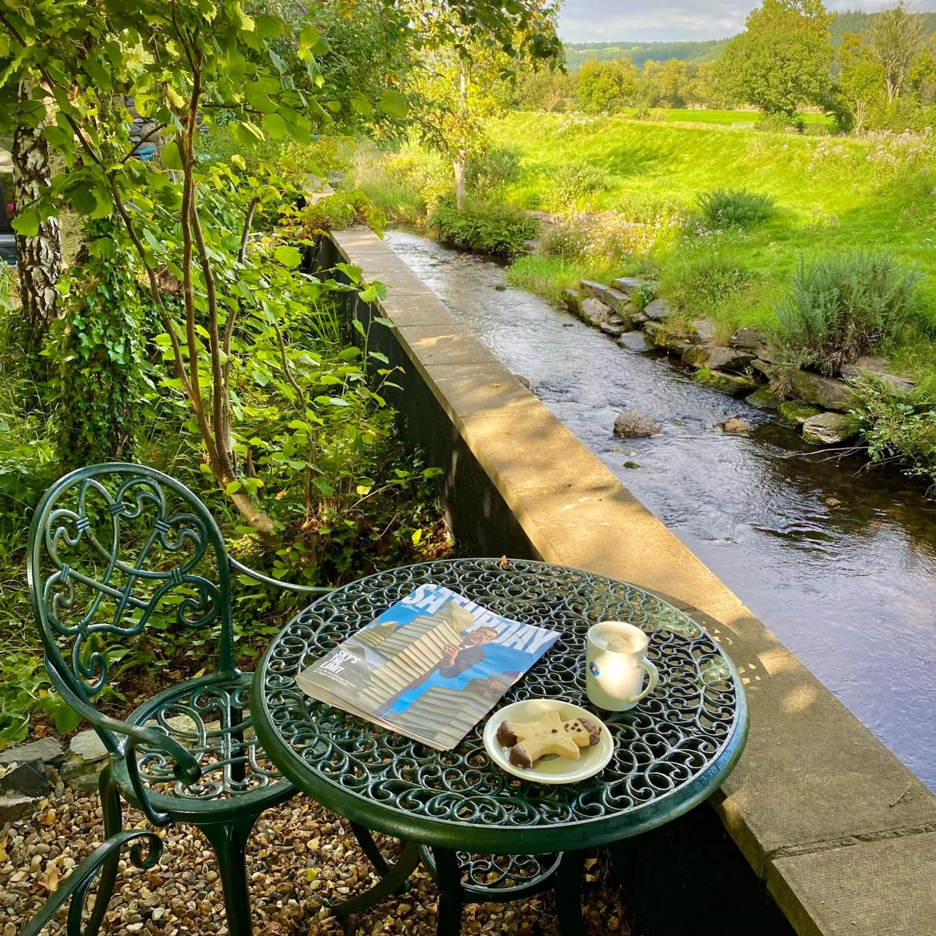Garden in Crafnant House - Bed & Breakfast