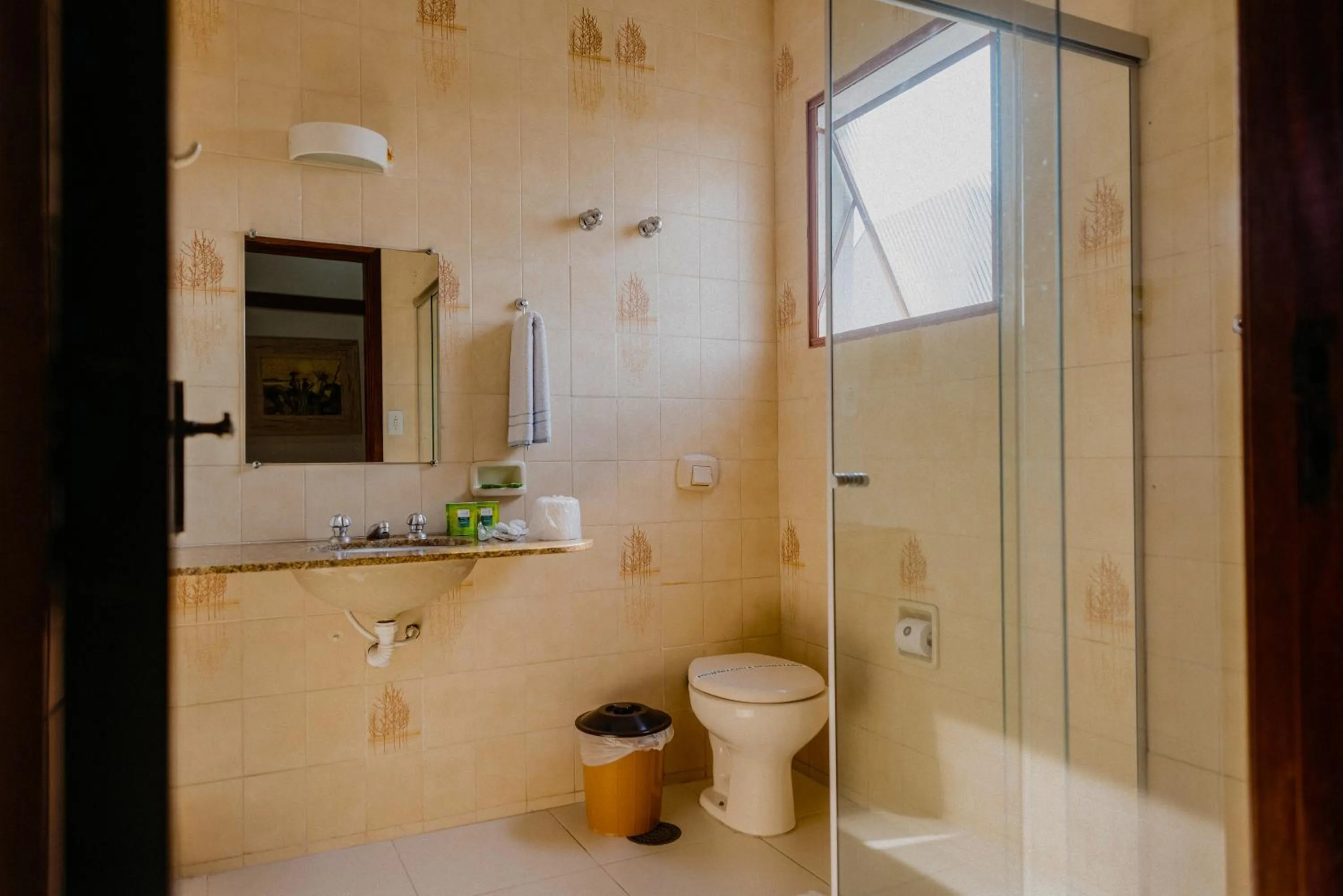 Shower in Hotel São Charbel