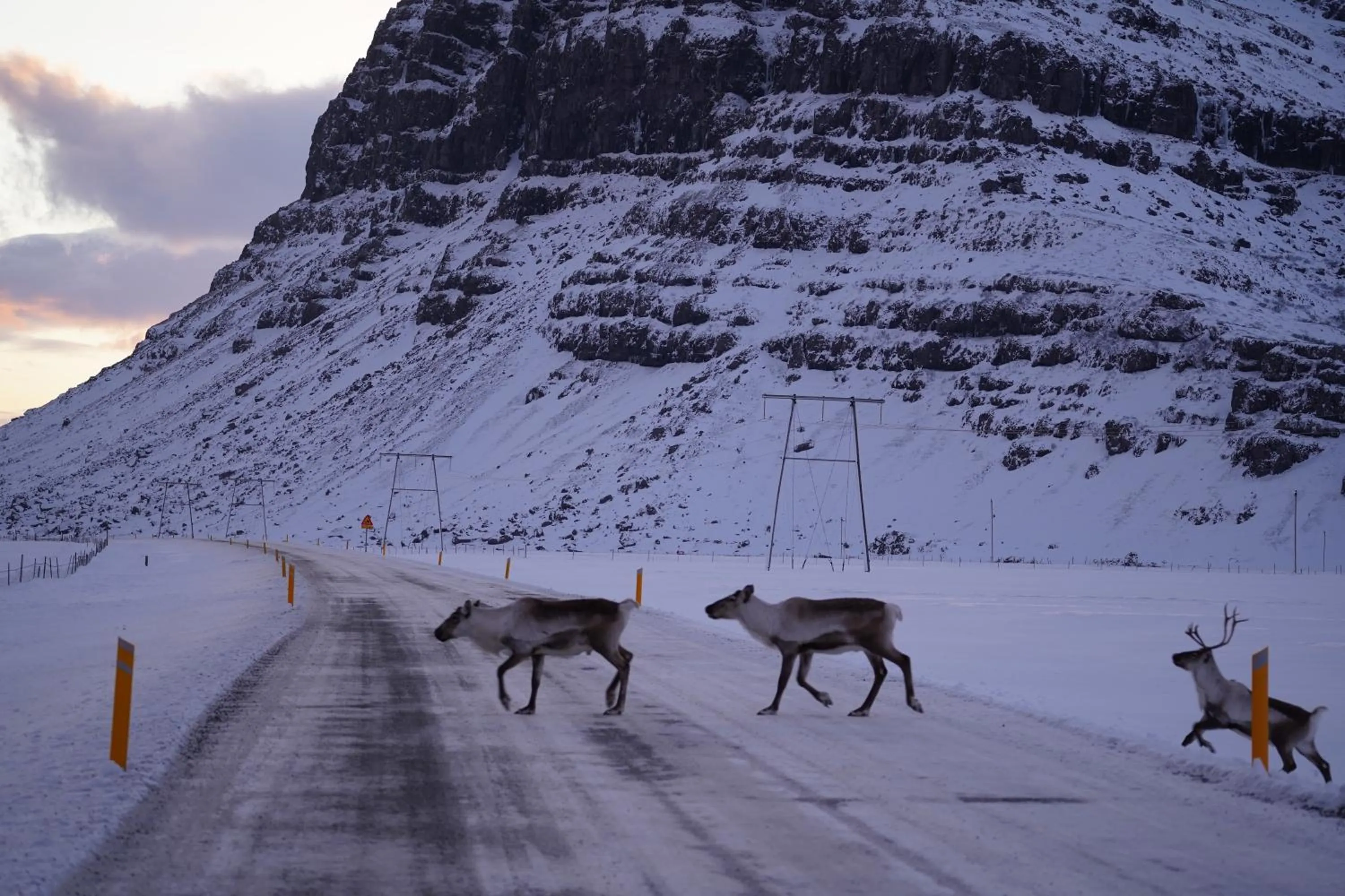 Seljavellir Guesthouse