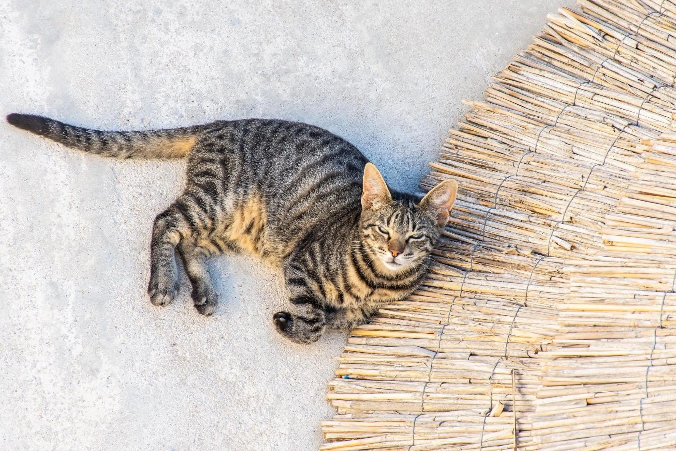 Peristeronas Village