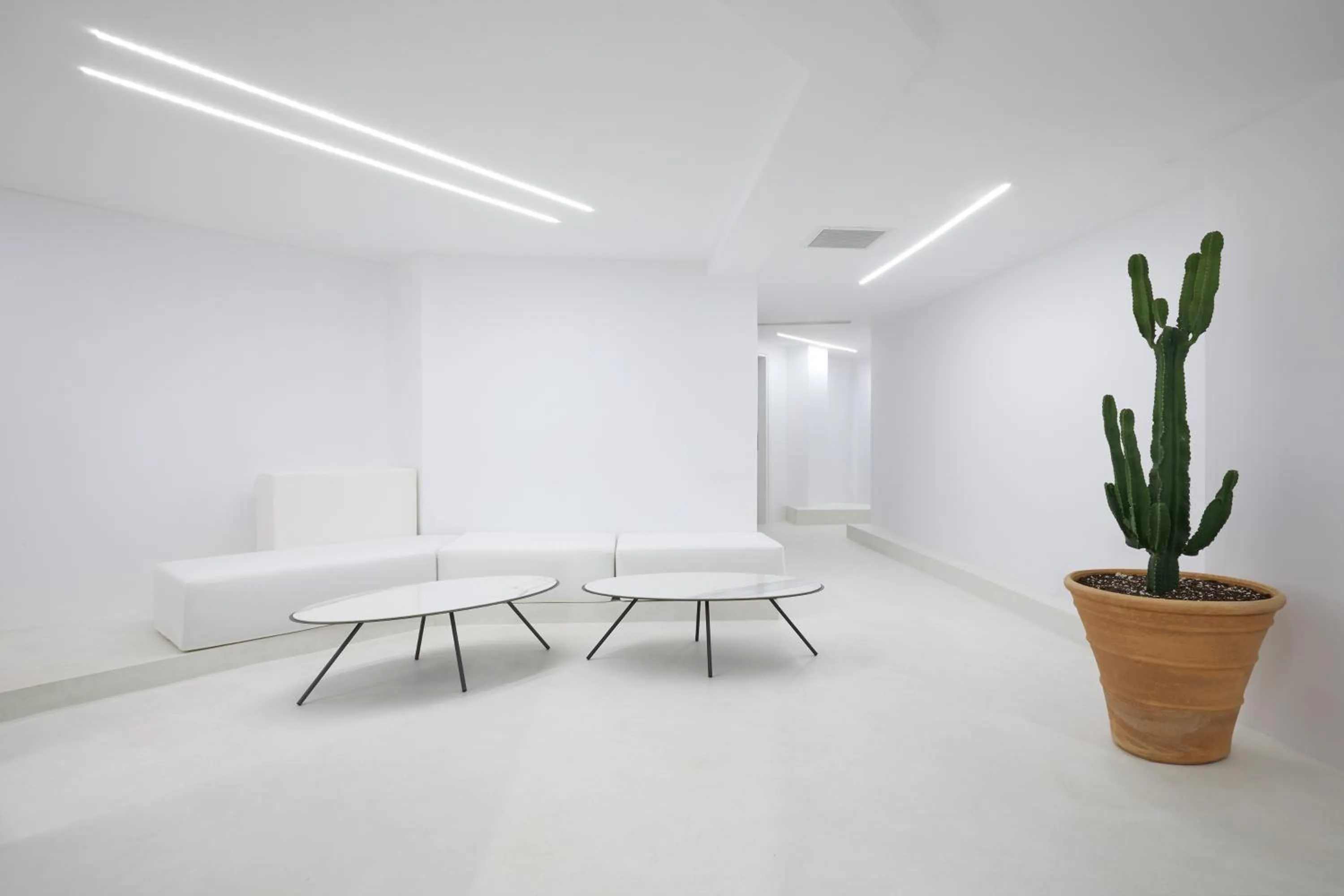 Area and facilities in Athens Penthouse