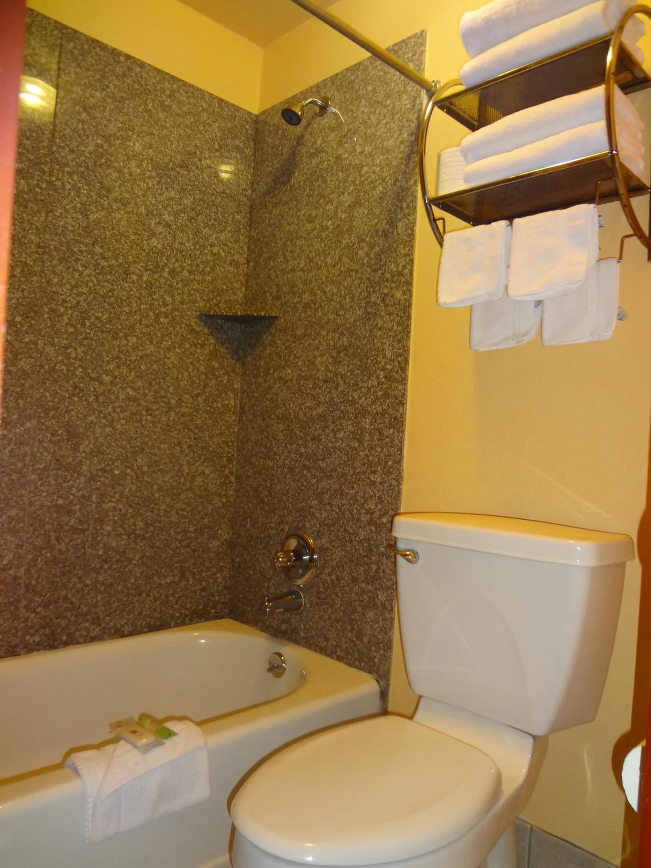 Shower in Antlers Inn Goliad