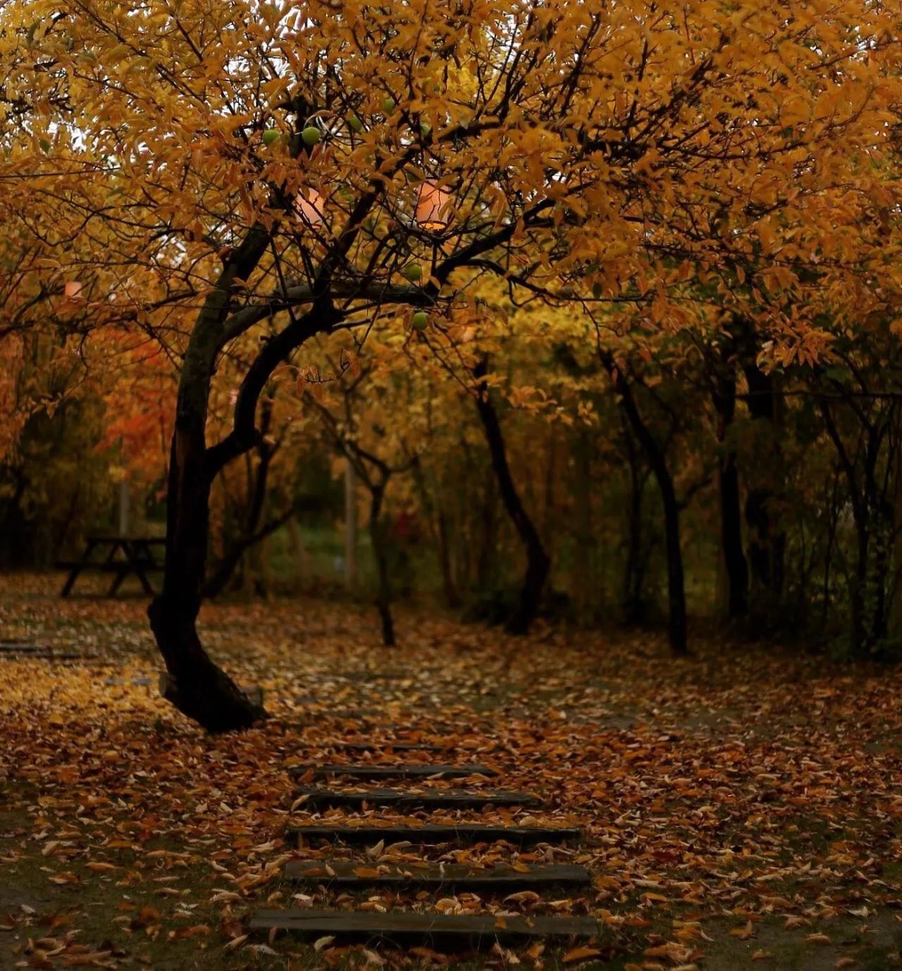 Miro Mara Boutique Hotel & Lounge Bar