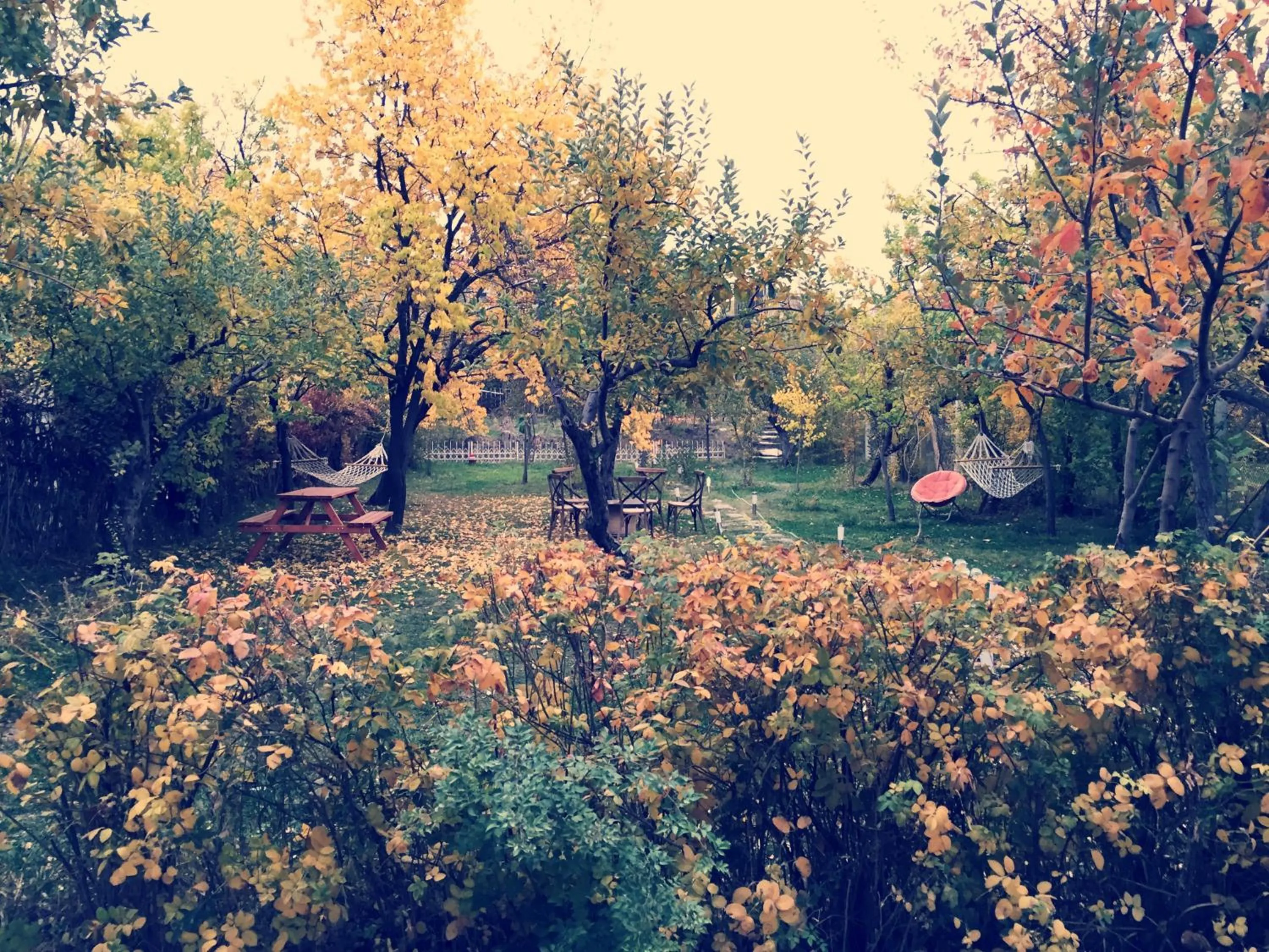 Garden in Miro Mara Boutique Hotel & Lounge Bar