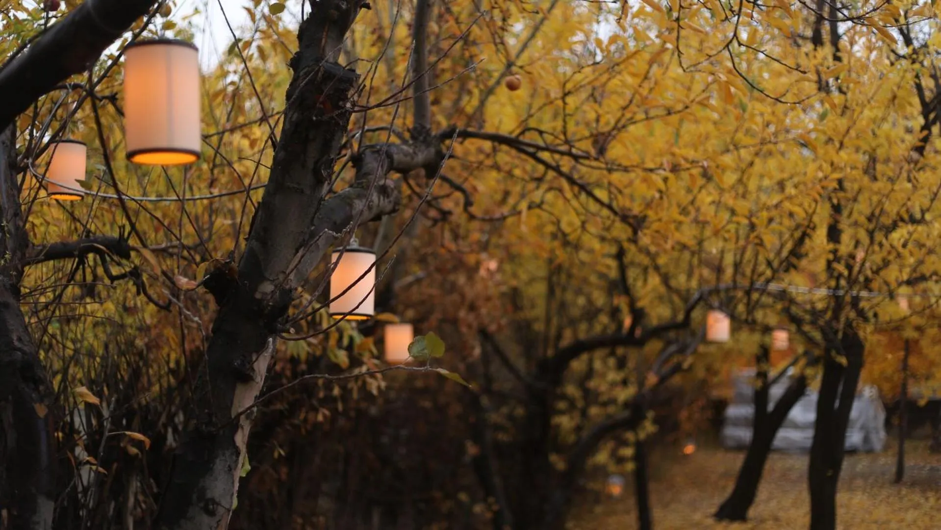 Miro Mara Boutique Hotel & Lounge Bar