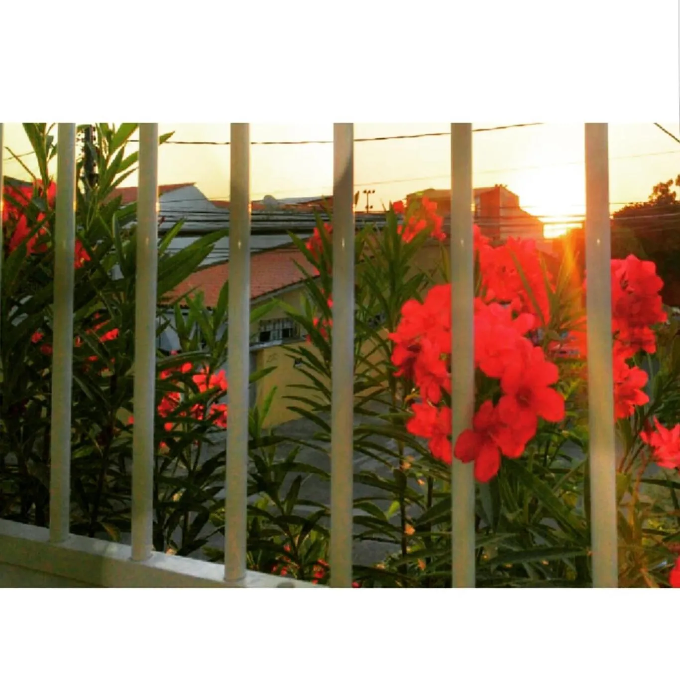 Decorative detail in Pousada Pouso Feliz