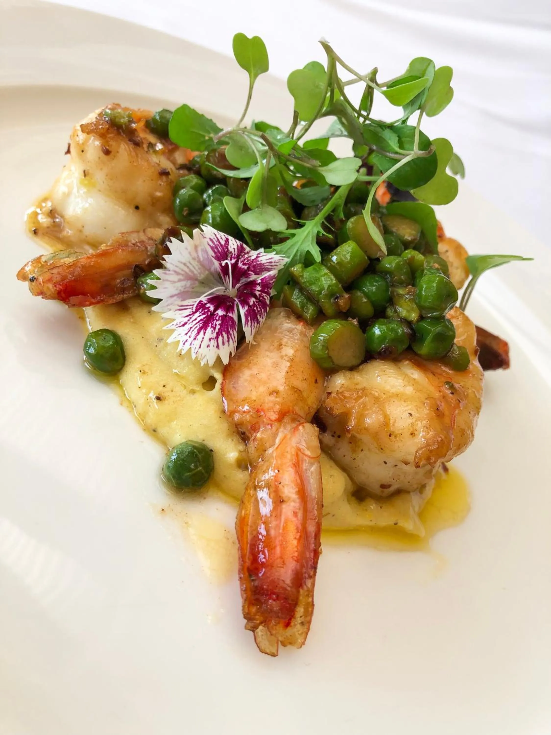 Food close-up in Crocs Resort & Casino