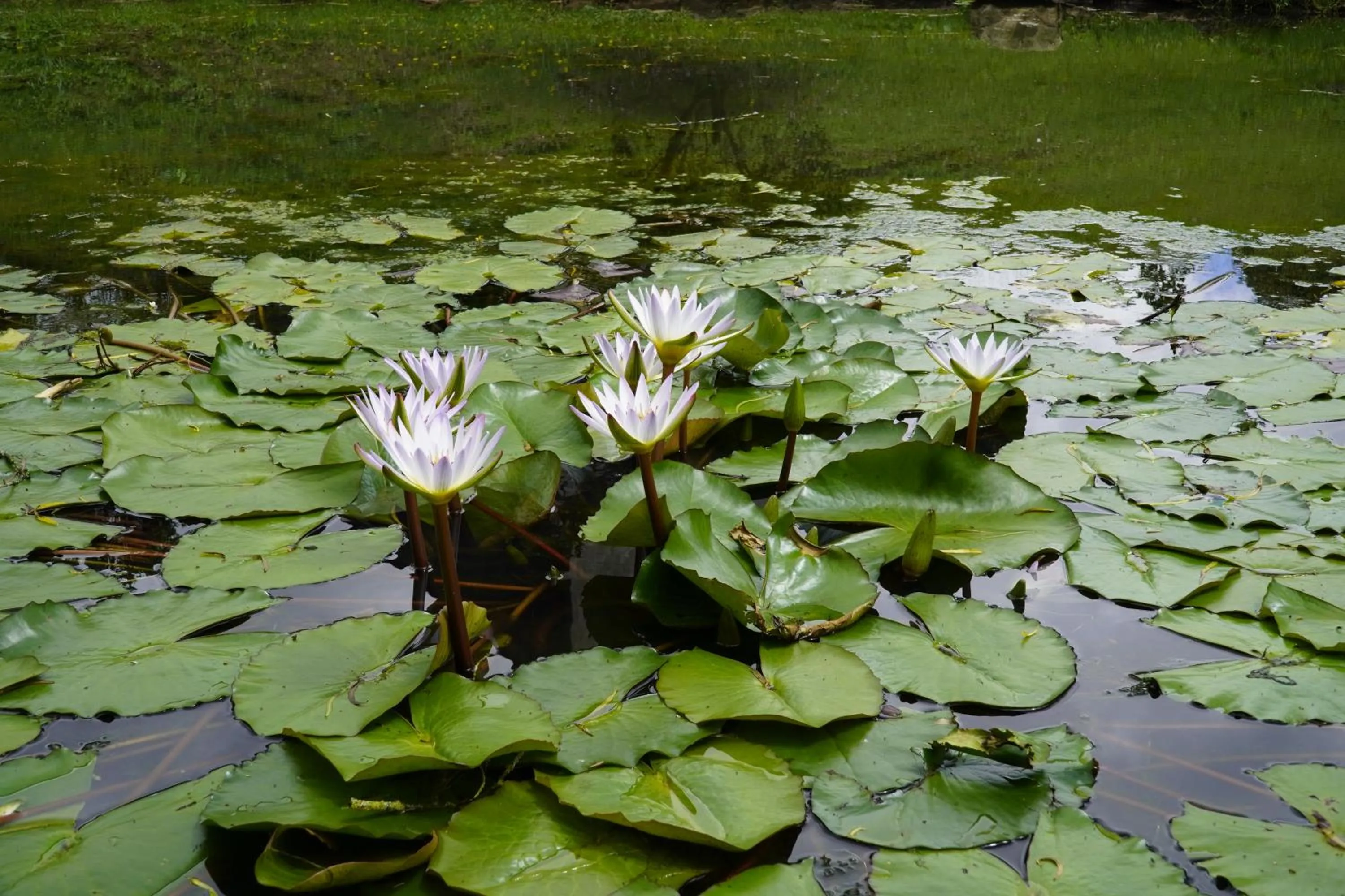 Natural landscape in AlmazewÁ