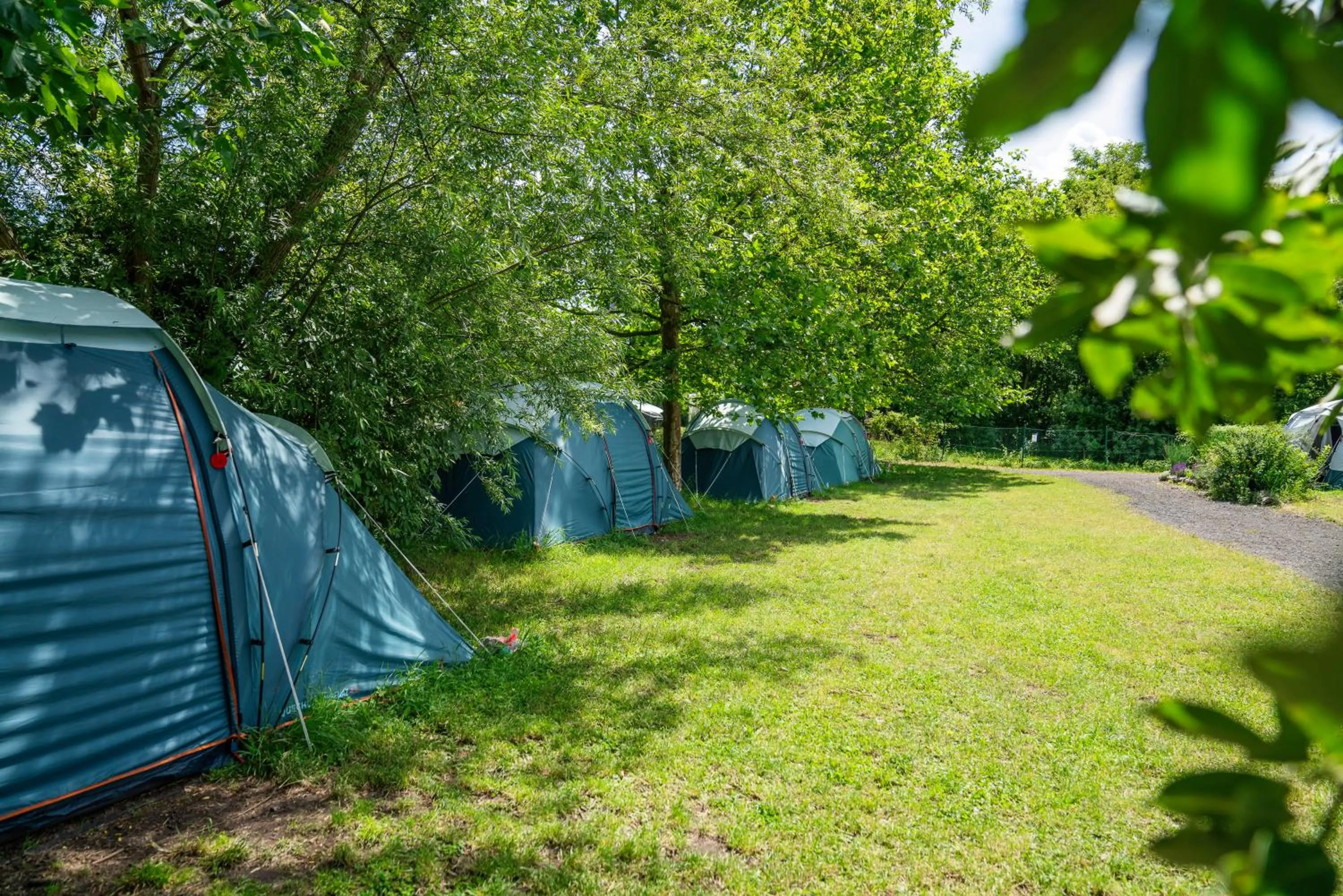 Garden view in Kemp Děčín