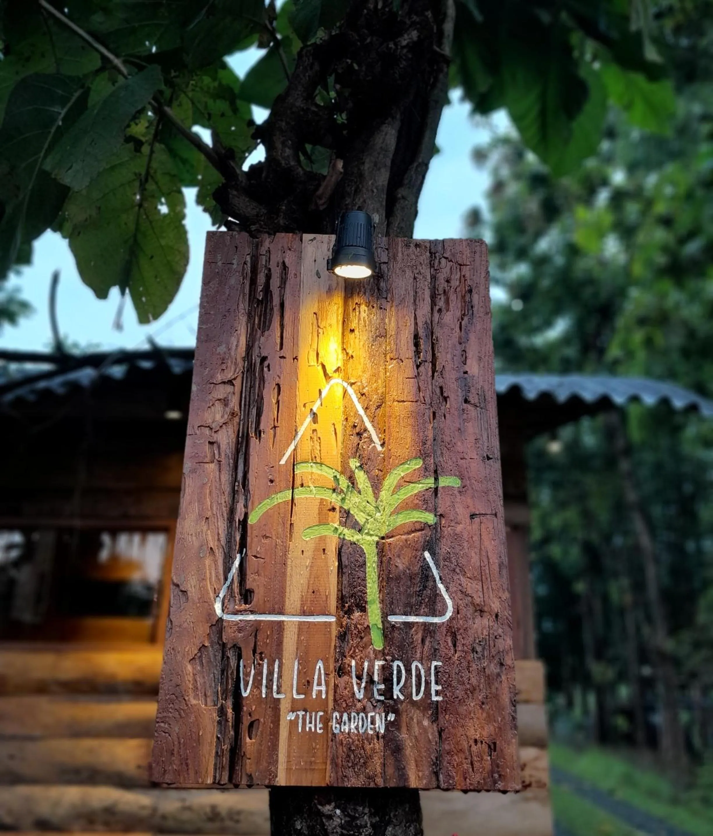 Villa Verde the garden