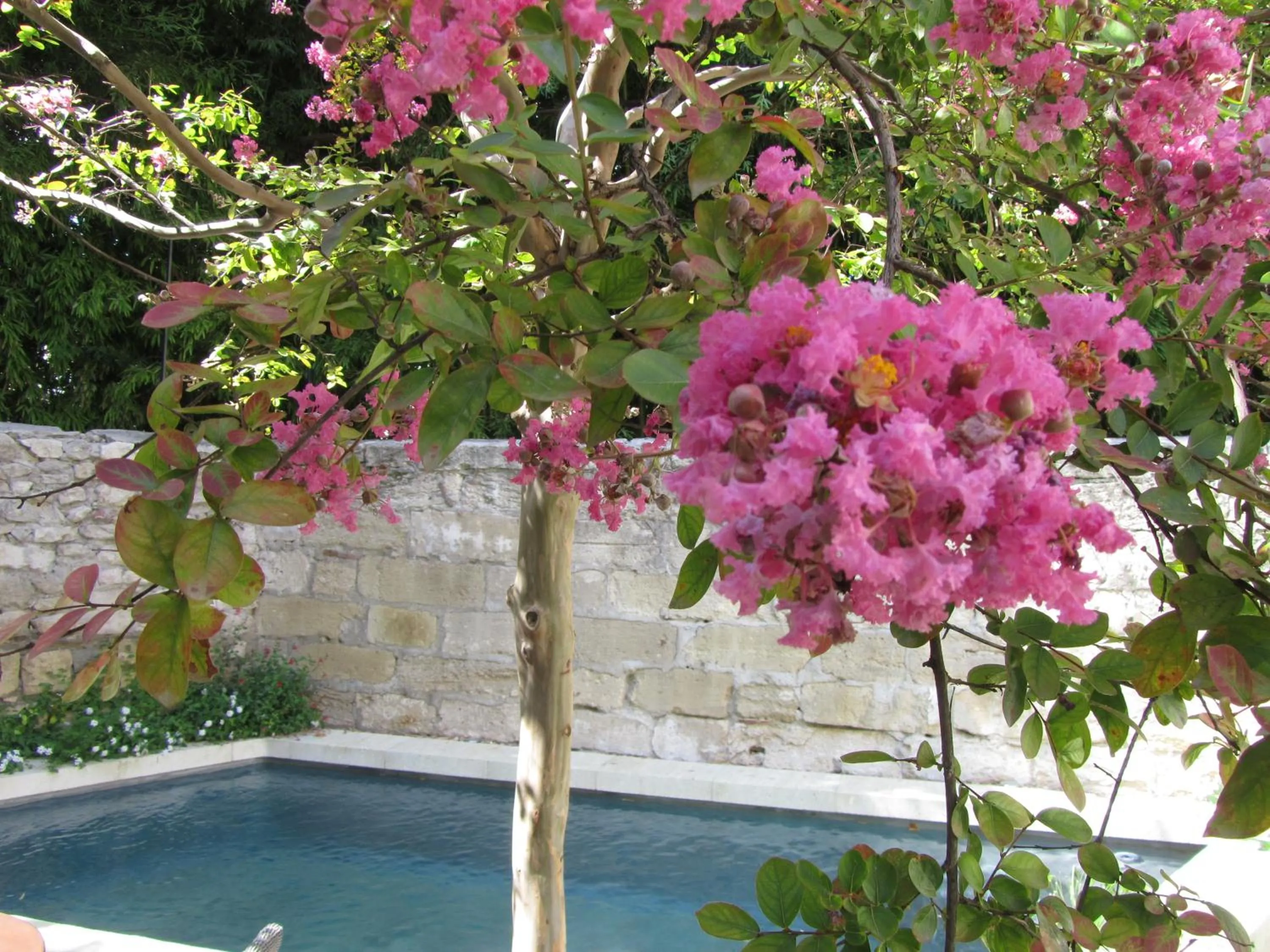 Other in N15 - Les Confidences - Chambres d'hôtes