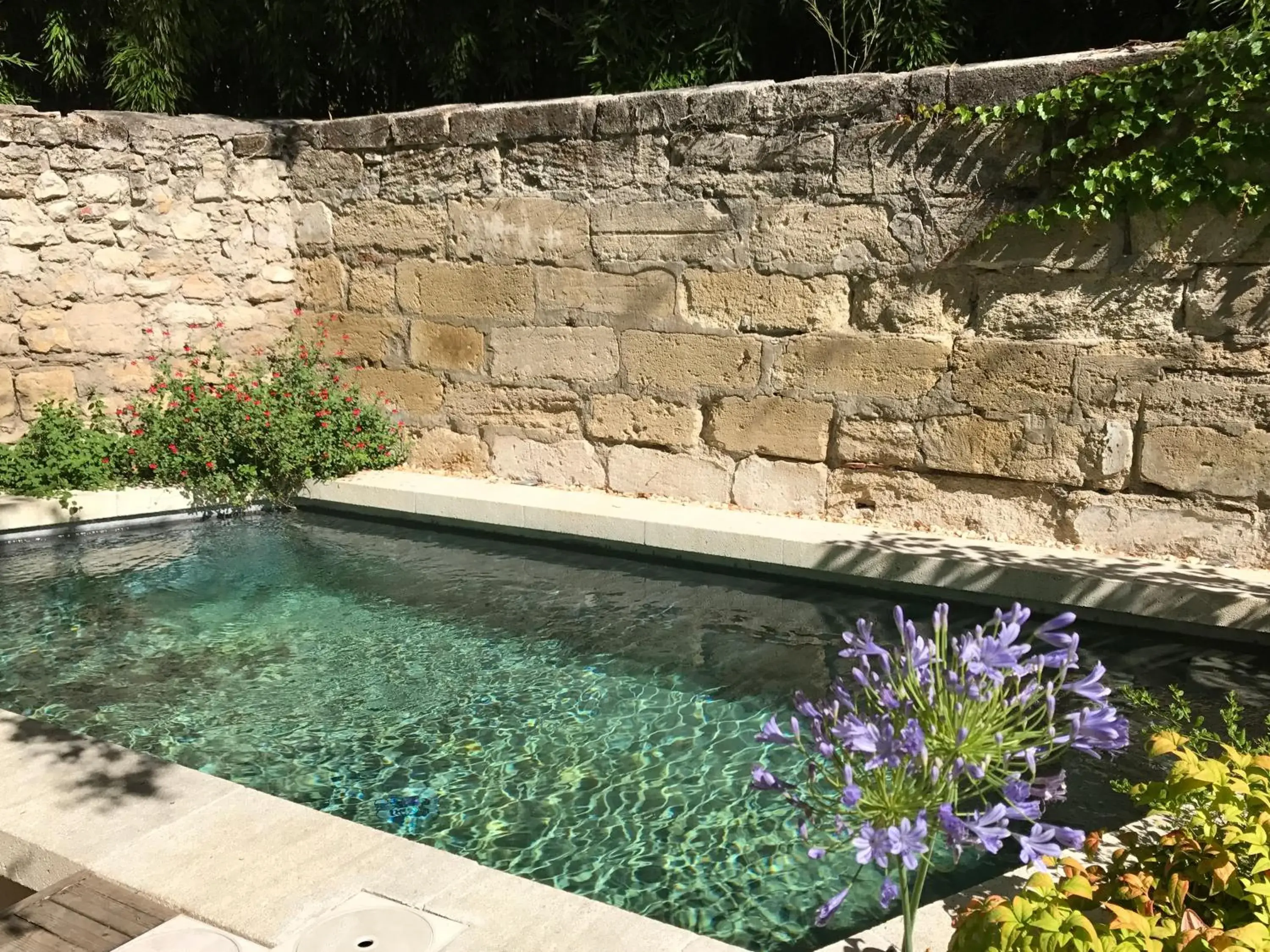 Pool view in N15 - Les Confidences - Chambres d'hôtes Pool view in N15 - Les Confidences - Chambres d'hôtes