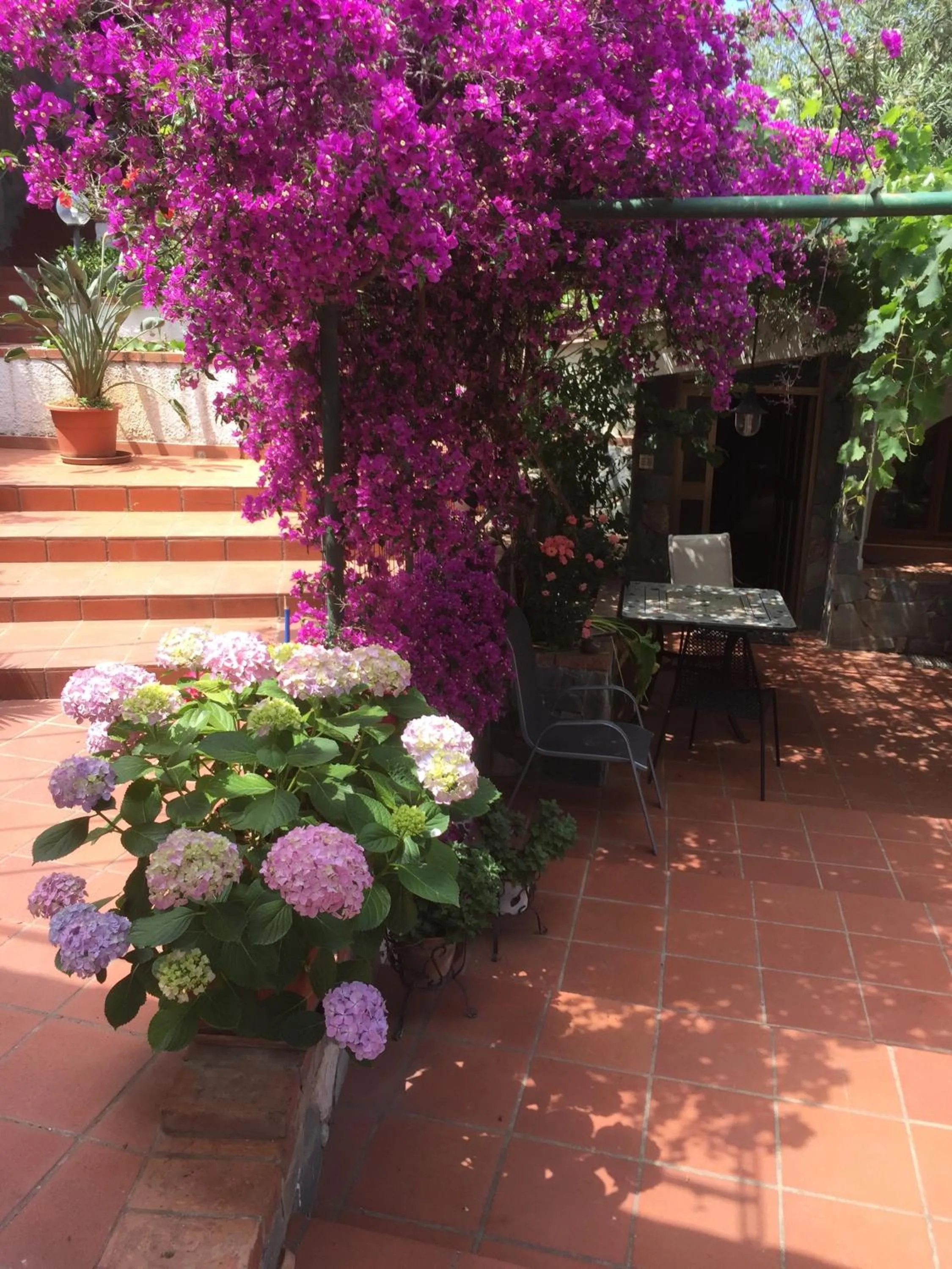 Facade/entrance in L' Arca Residence