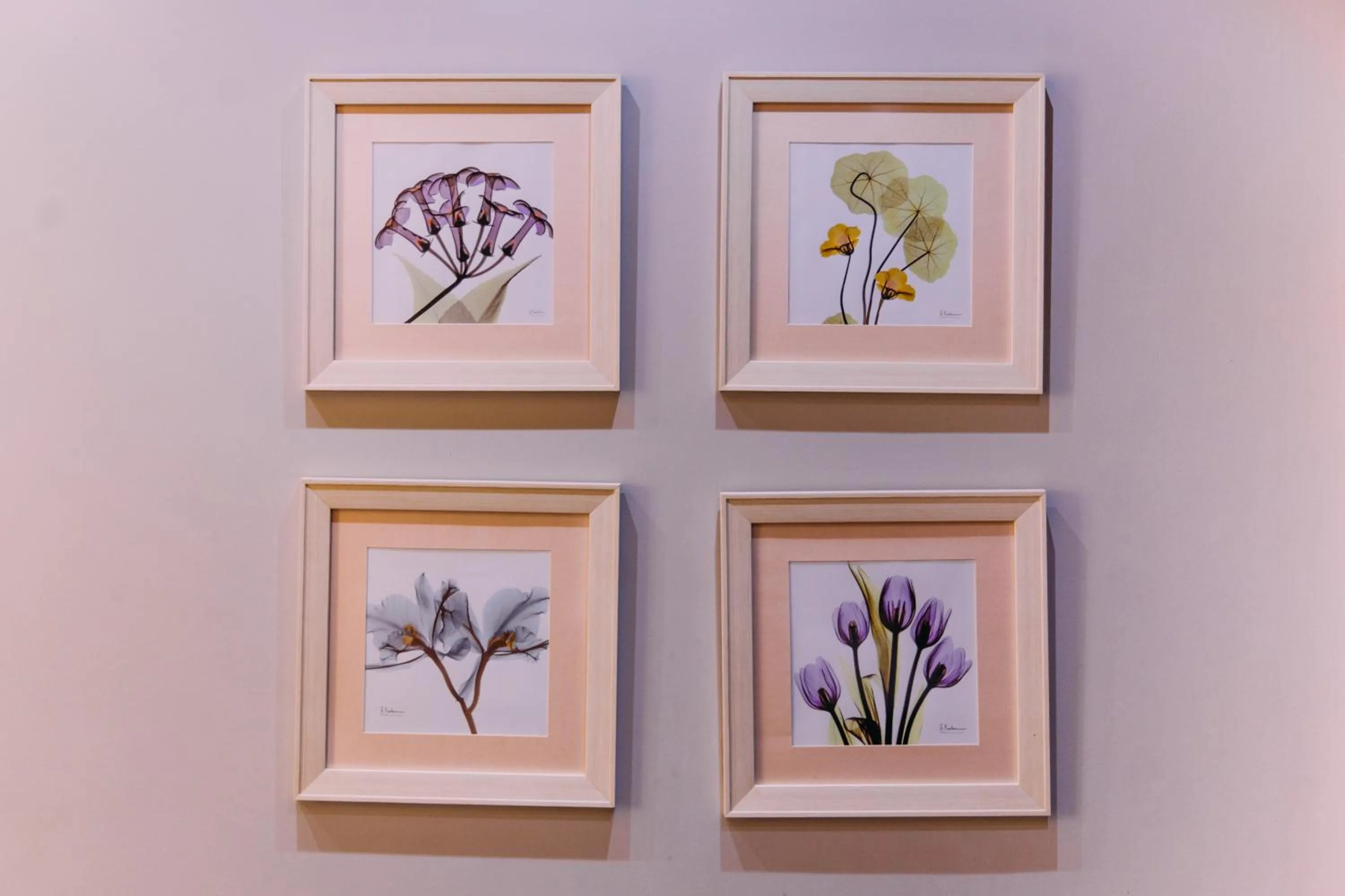 Decorative detail in Kantar Hotel