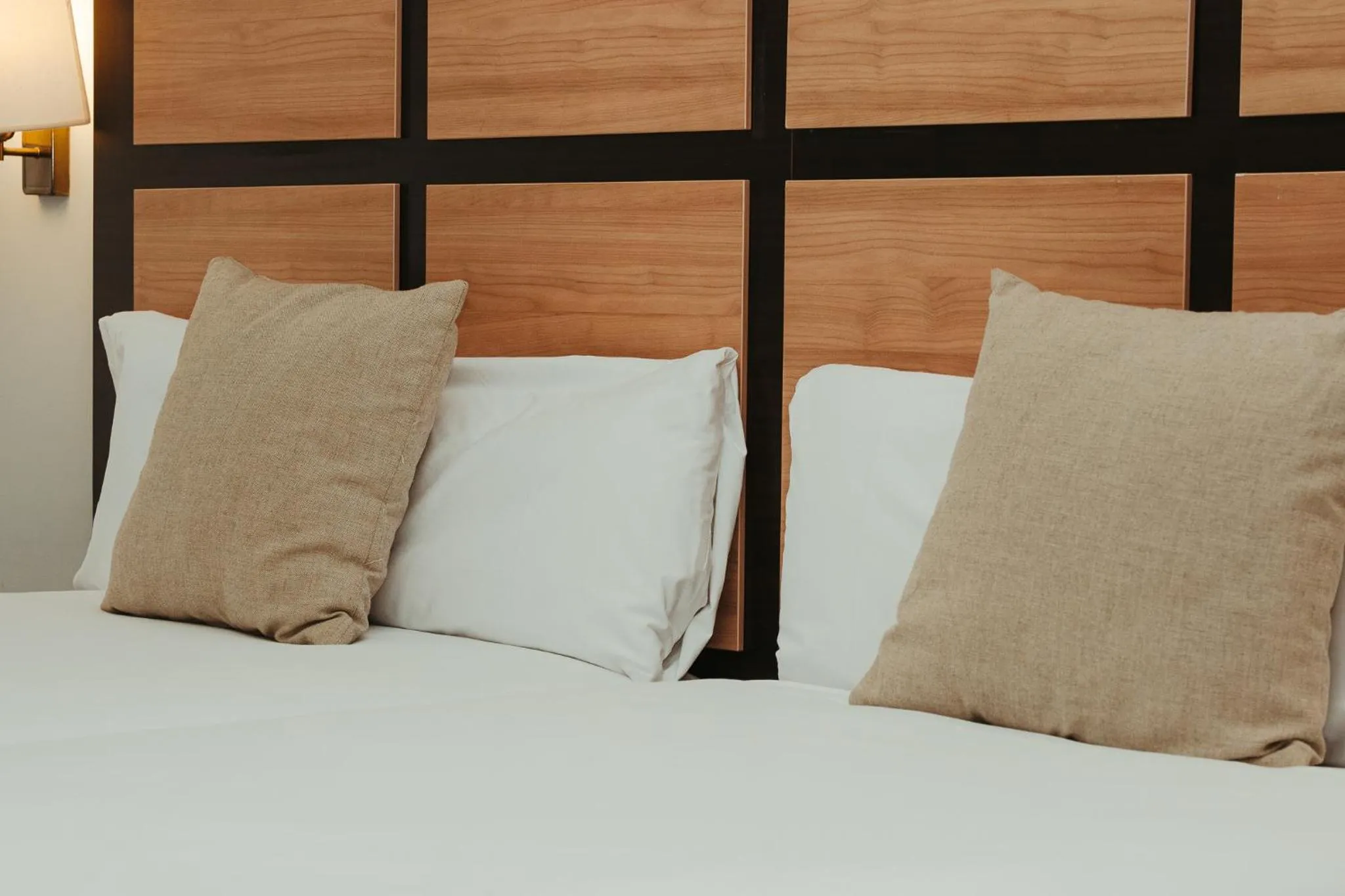 Area and facilities, Bed in Hotel LIVVO Jandía Golf