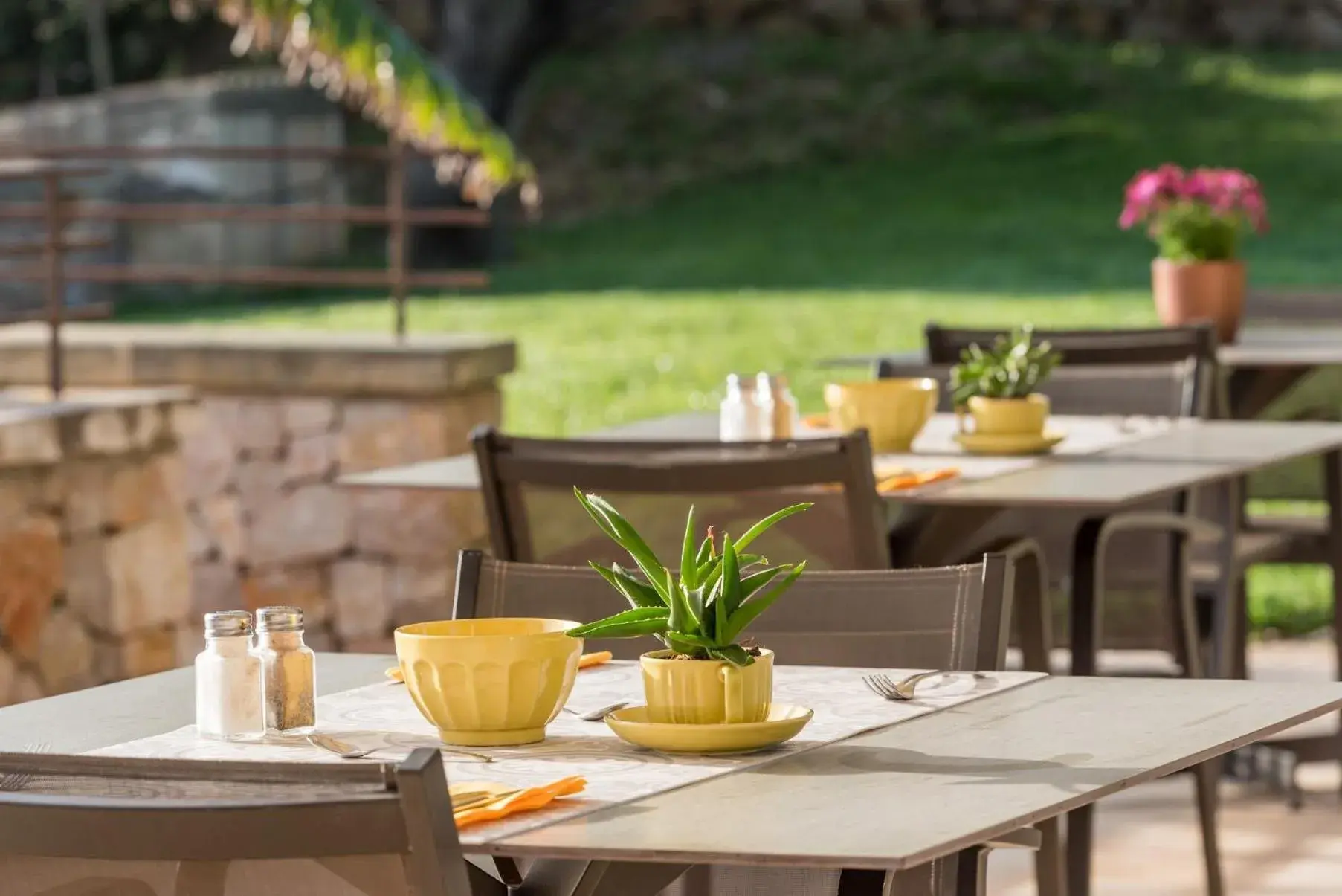 Breakfast in Cas Cabo Nou Agroturismo Adults Only Breakfast in Cas Cabo Nou Agroturismo Adults Only