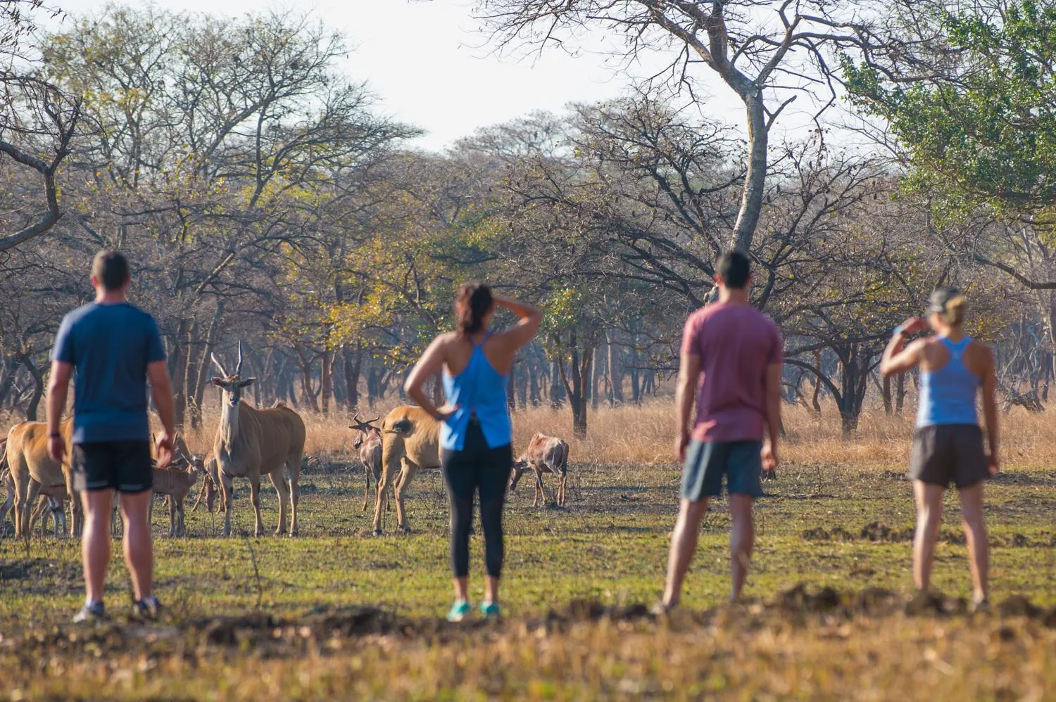 People in Lilayi Lodge