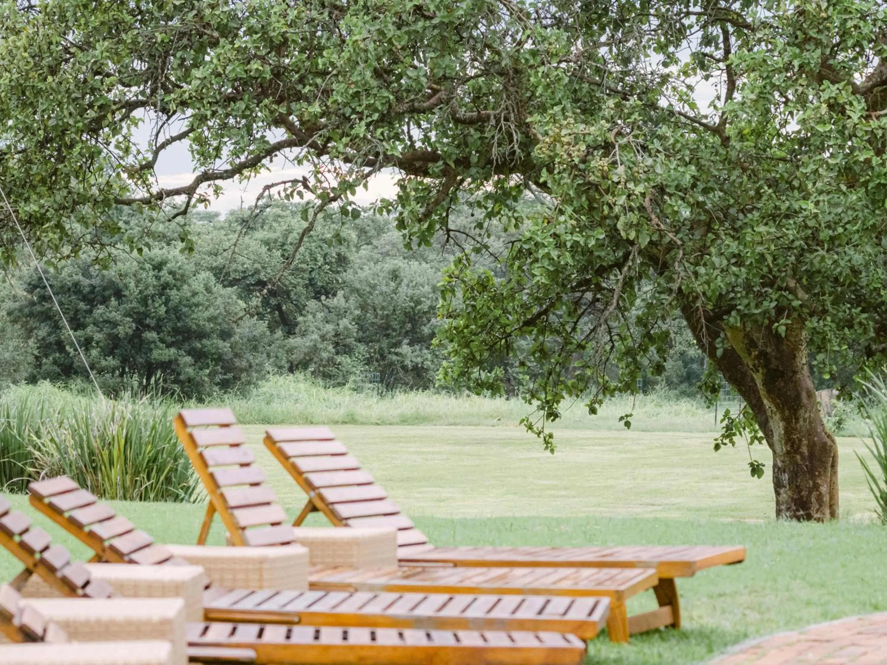 Garden in Lilayi Lodge