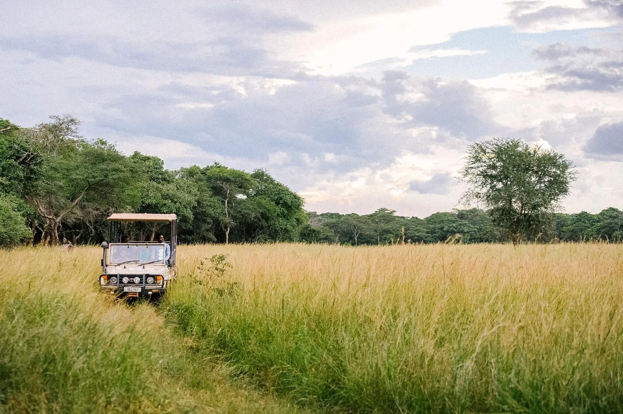 Natural landscape in Lilayi Lodge