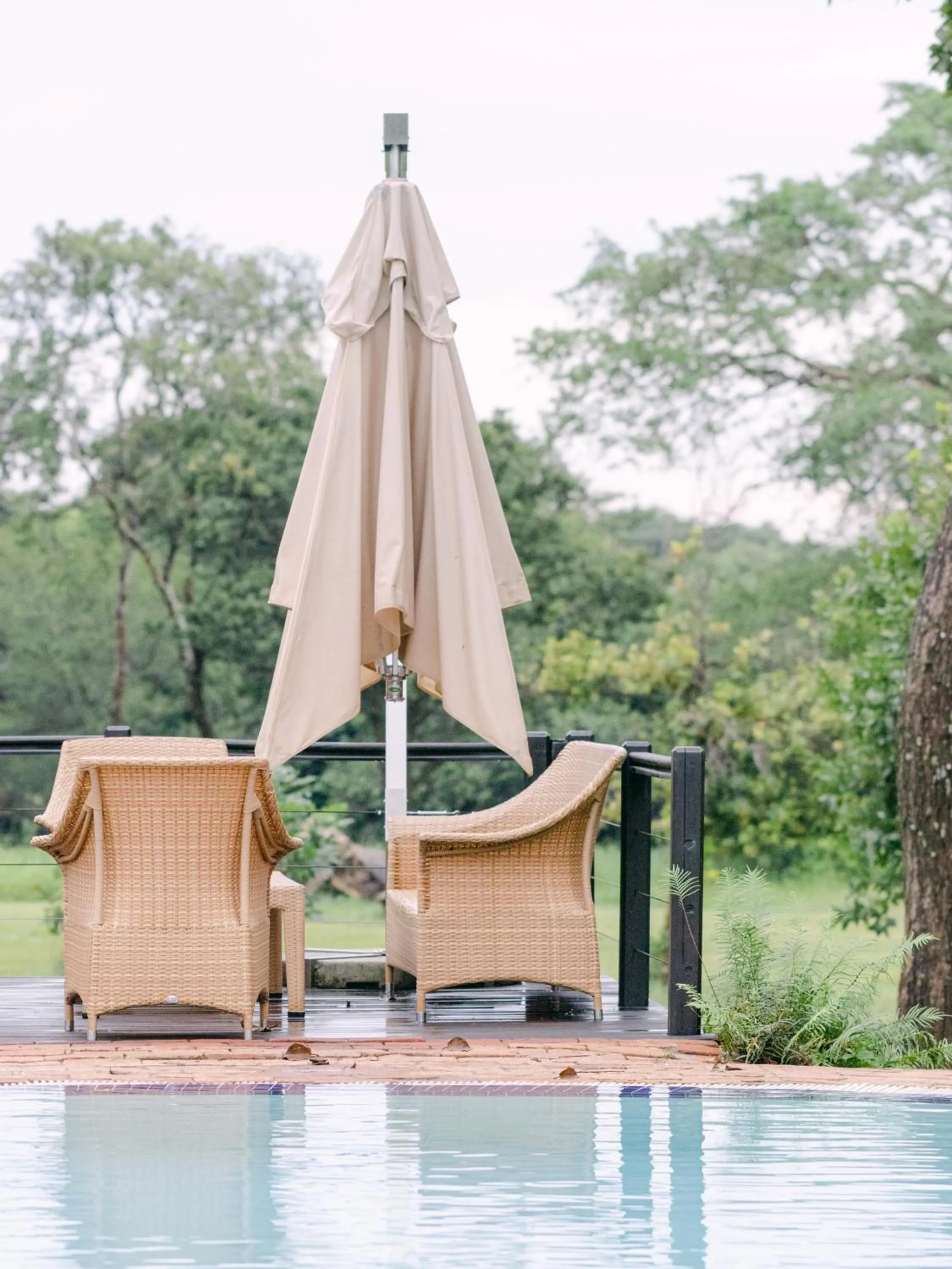 Swimming pool in Lilayi Lodge