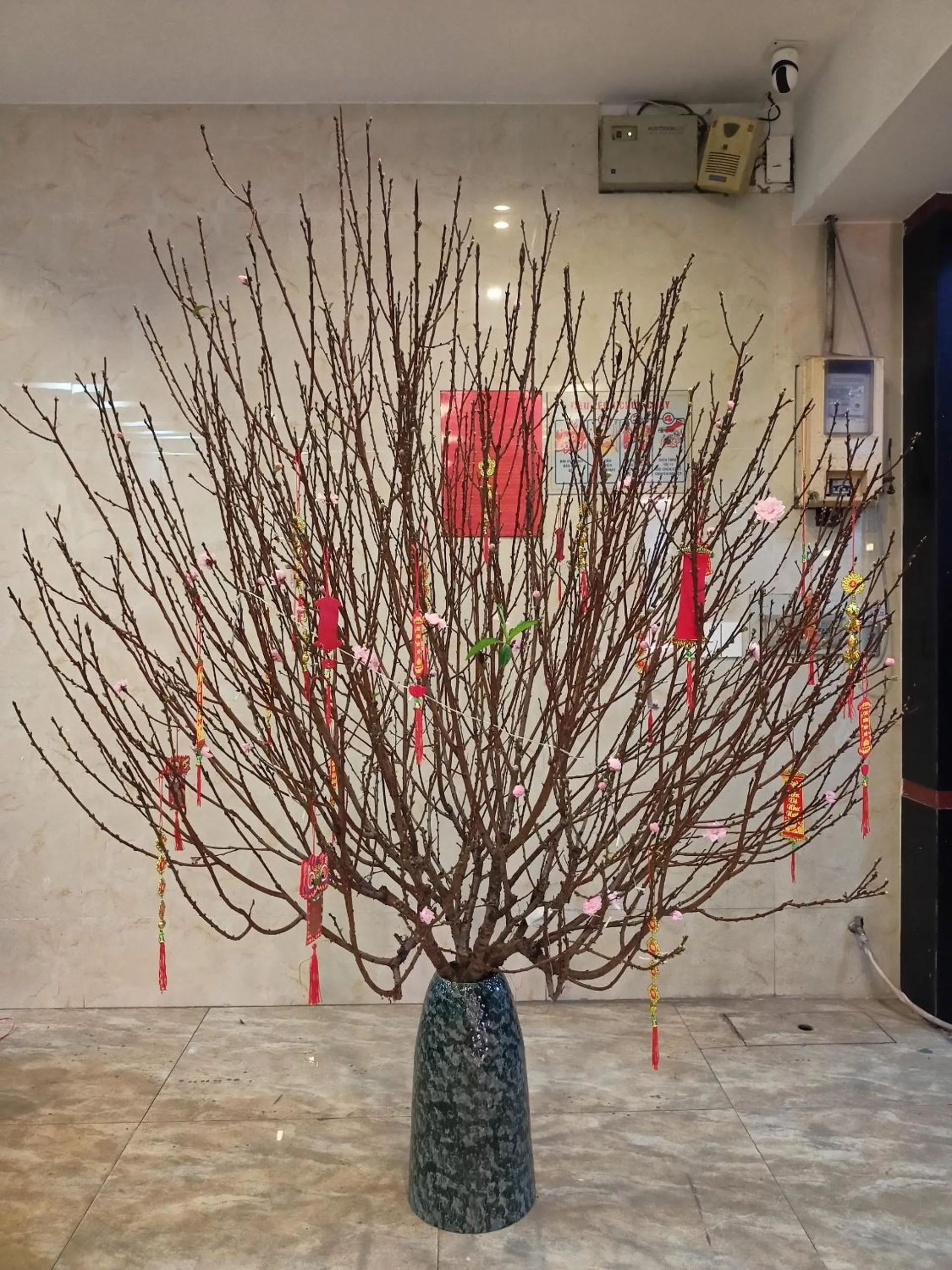 Decorative detail in COZY Hotel HCM