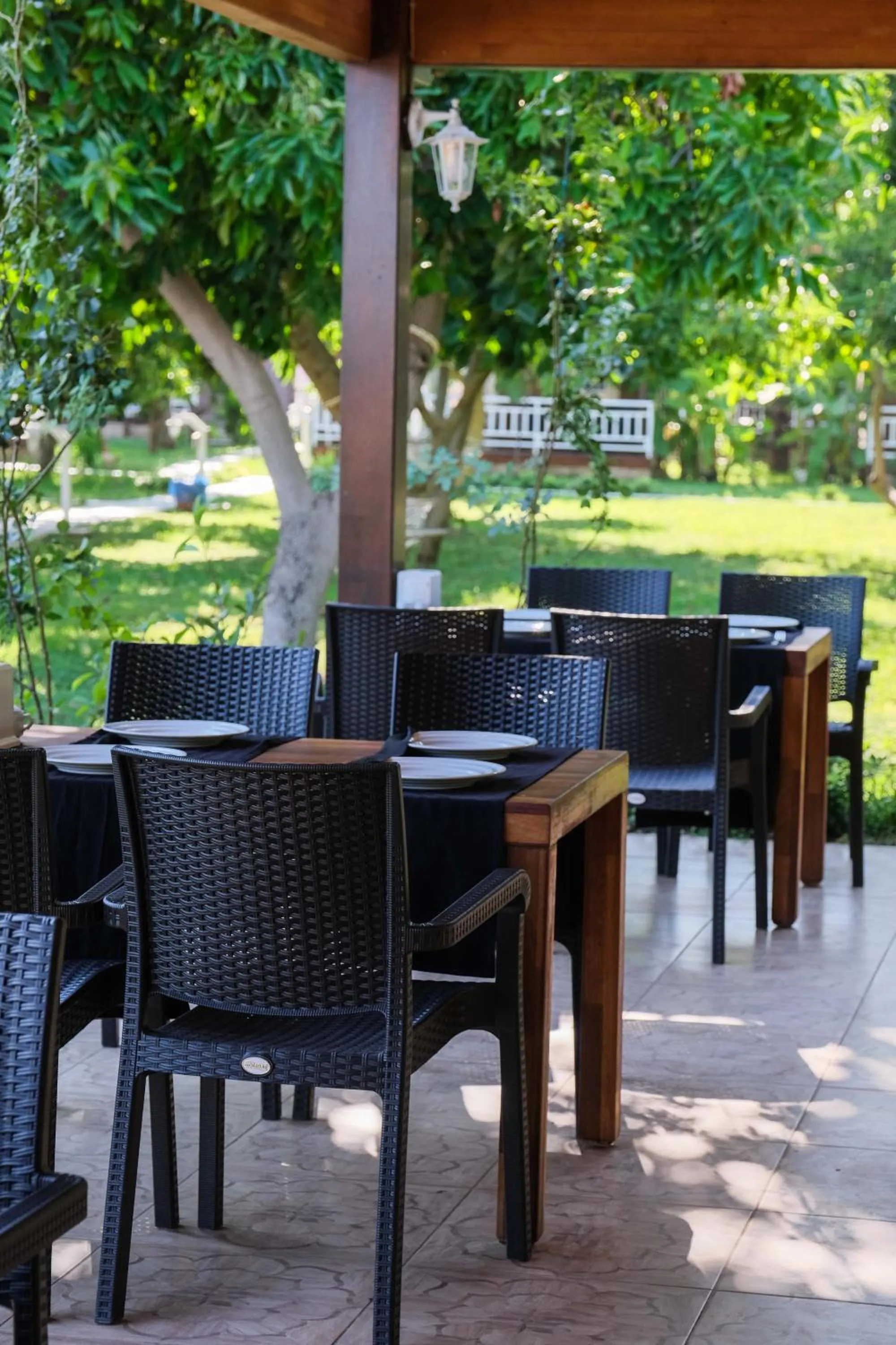 Restaurant/places to eat in Apella Hotel