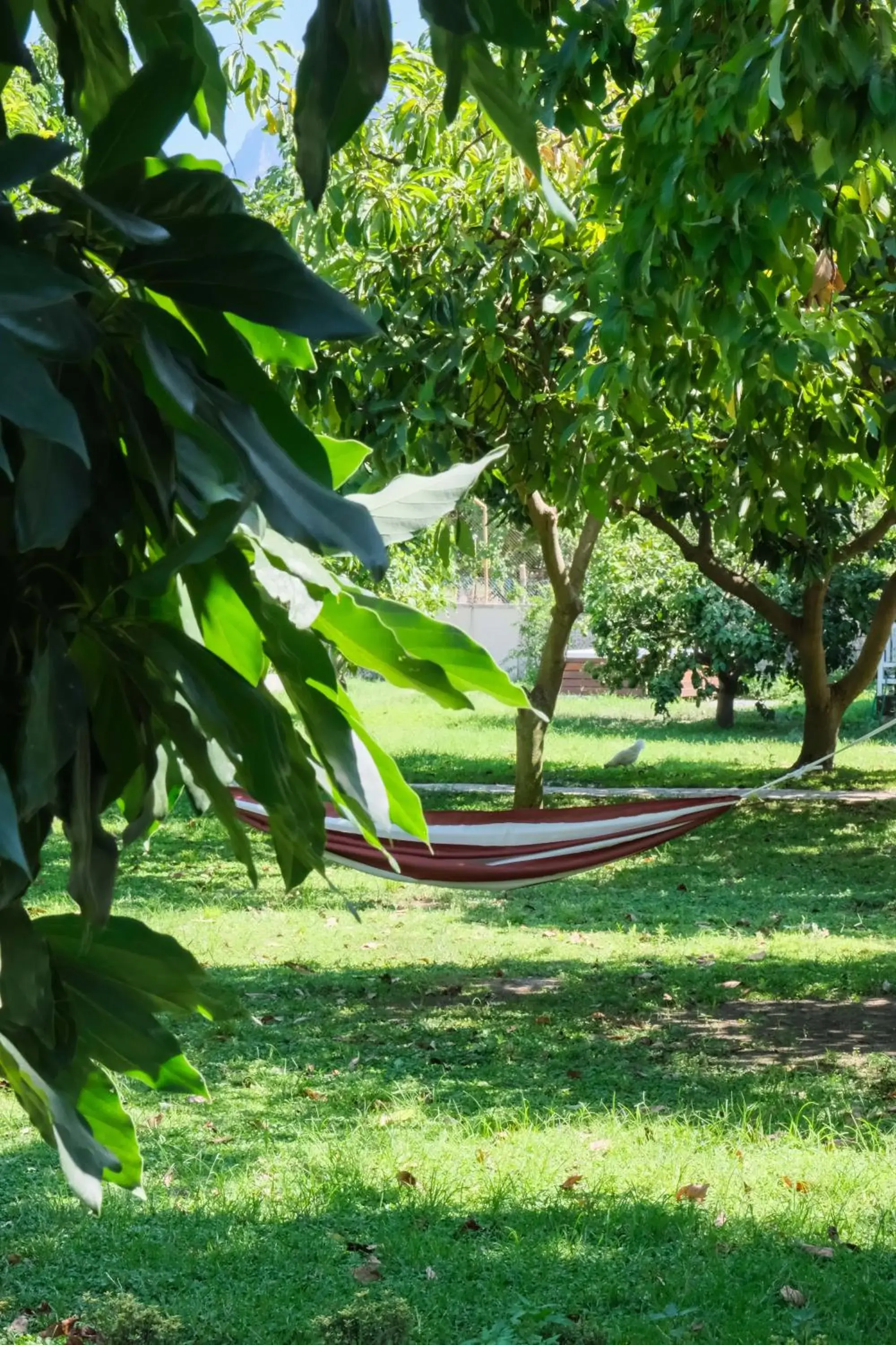 Property building in Apella Hotel Property building in Apella Hotel