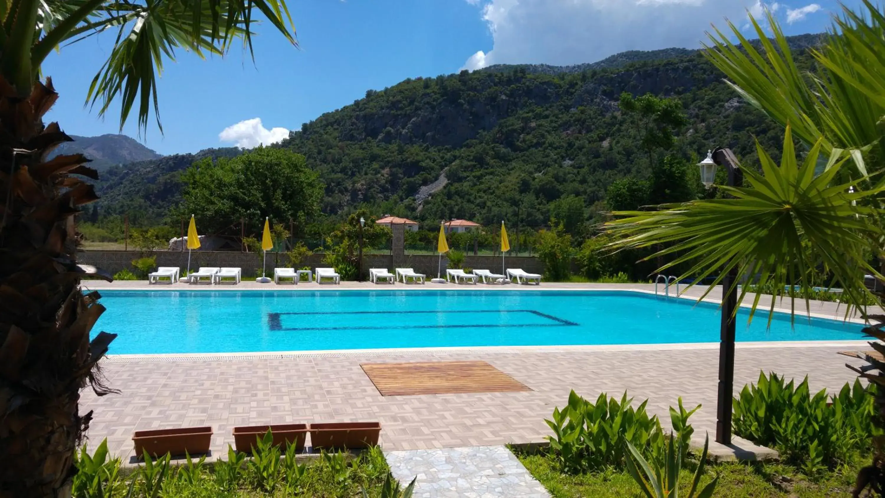 Pool view in Apella Hotel Pool view in Apella Hotel