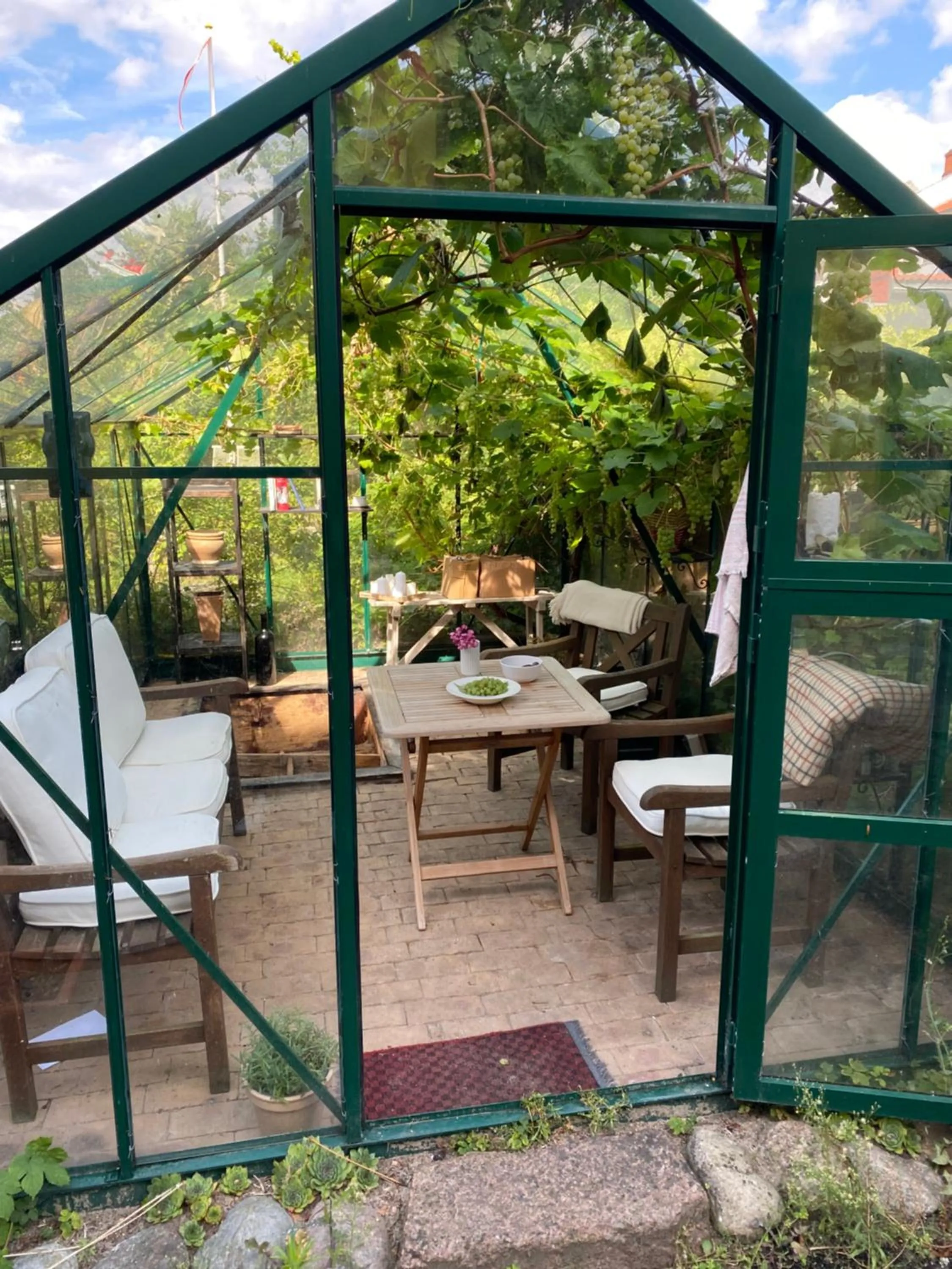 Garden in City House