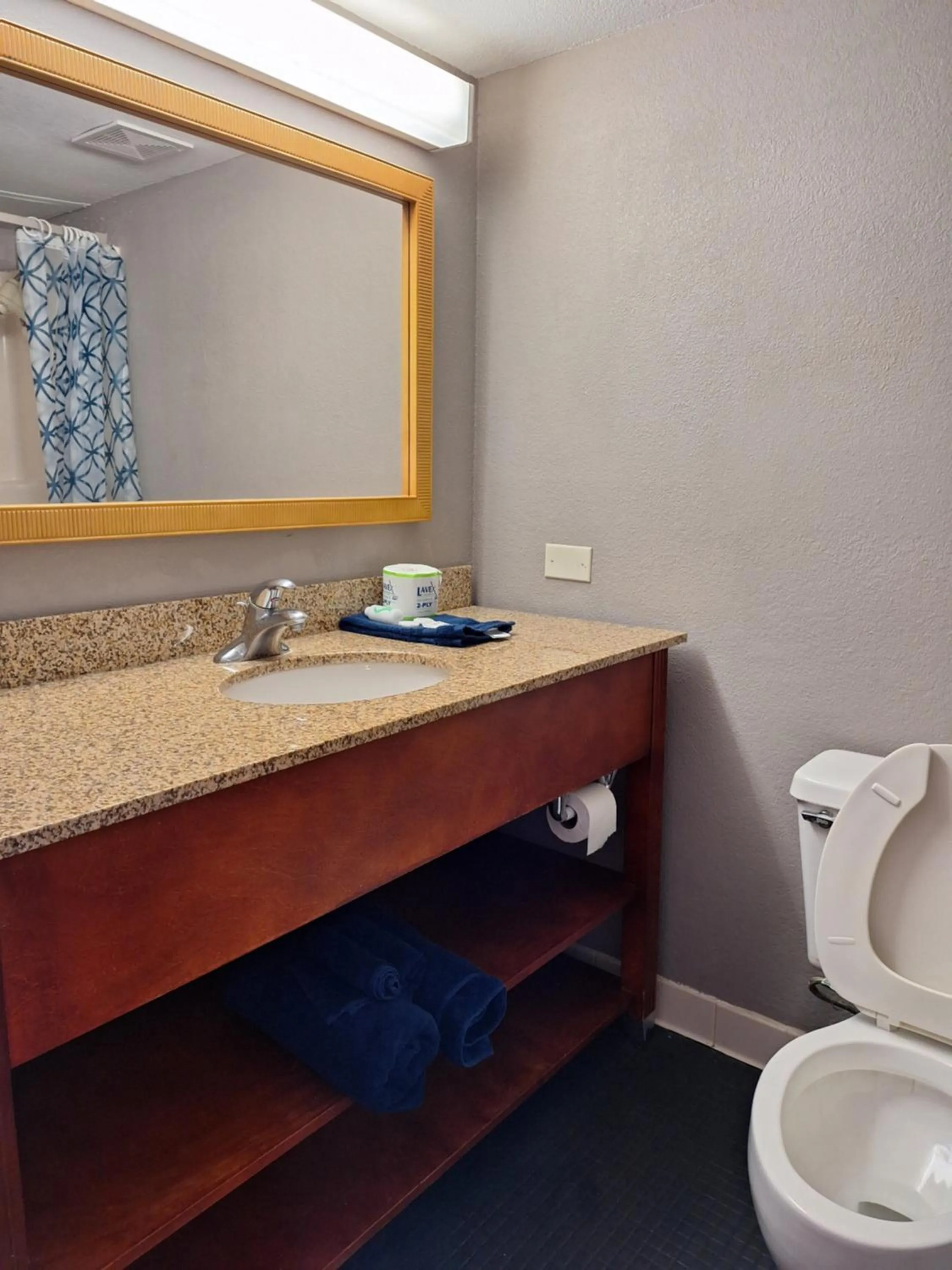 Bathroom in Madison Inn & Suites