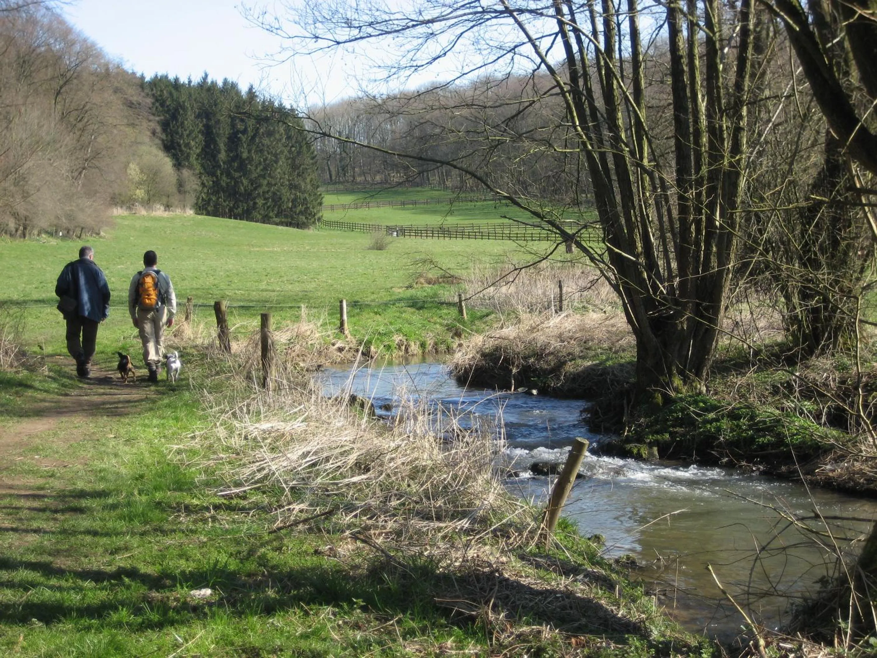 Spring in Hotel Gerardushoeve