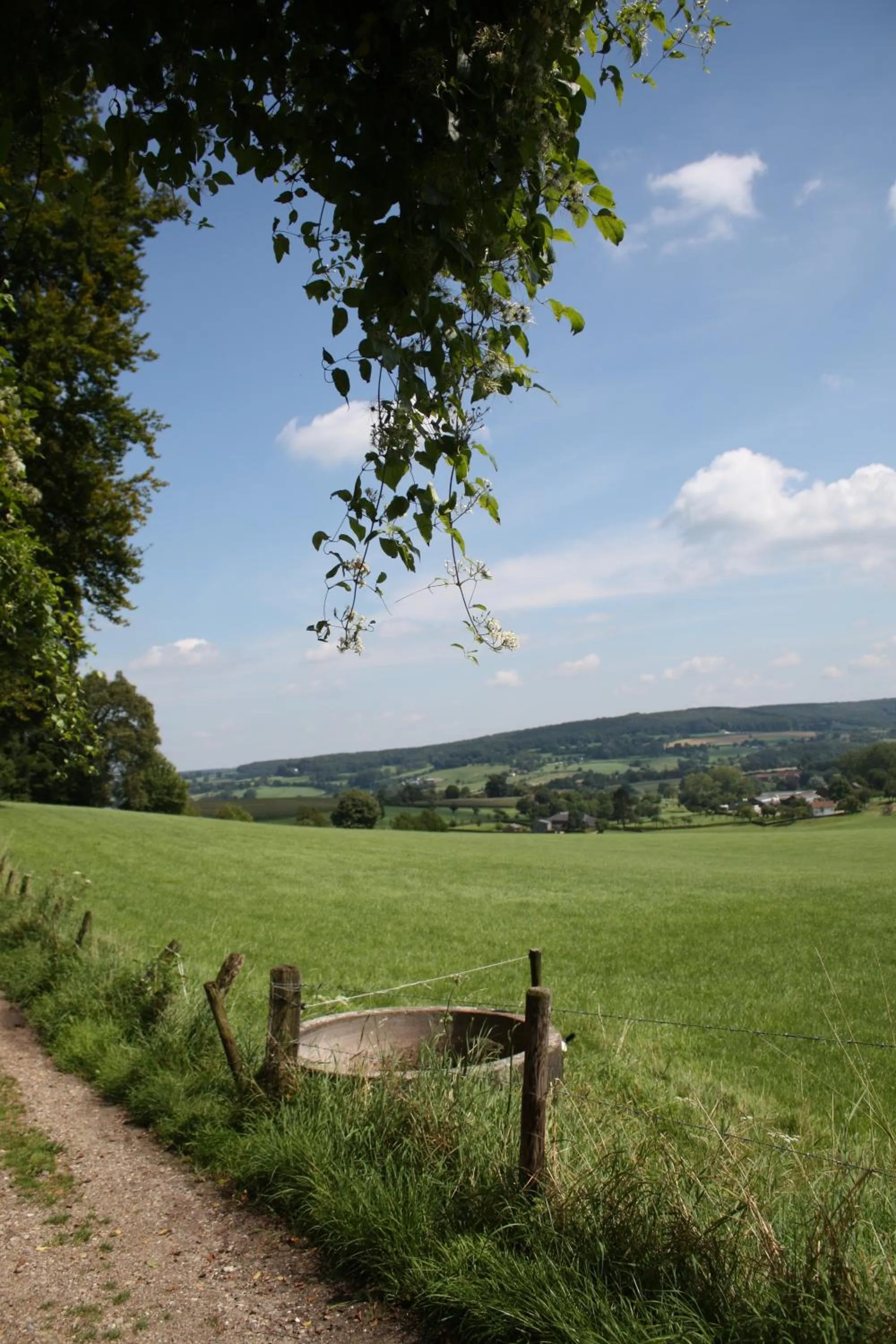 Hiking in Hotel Gerardushoeve