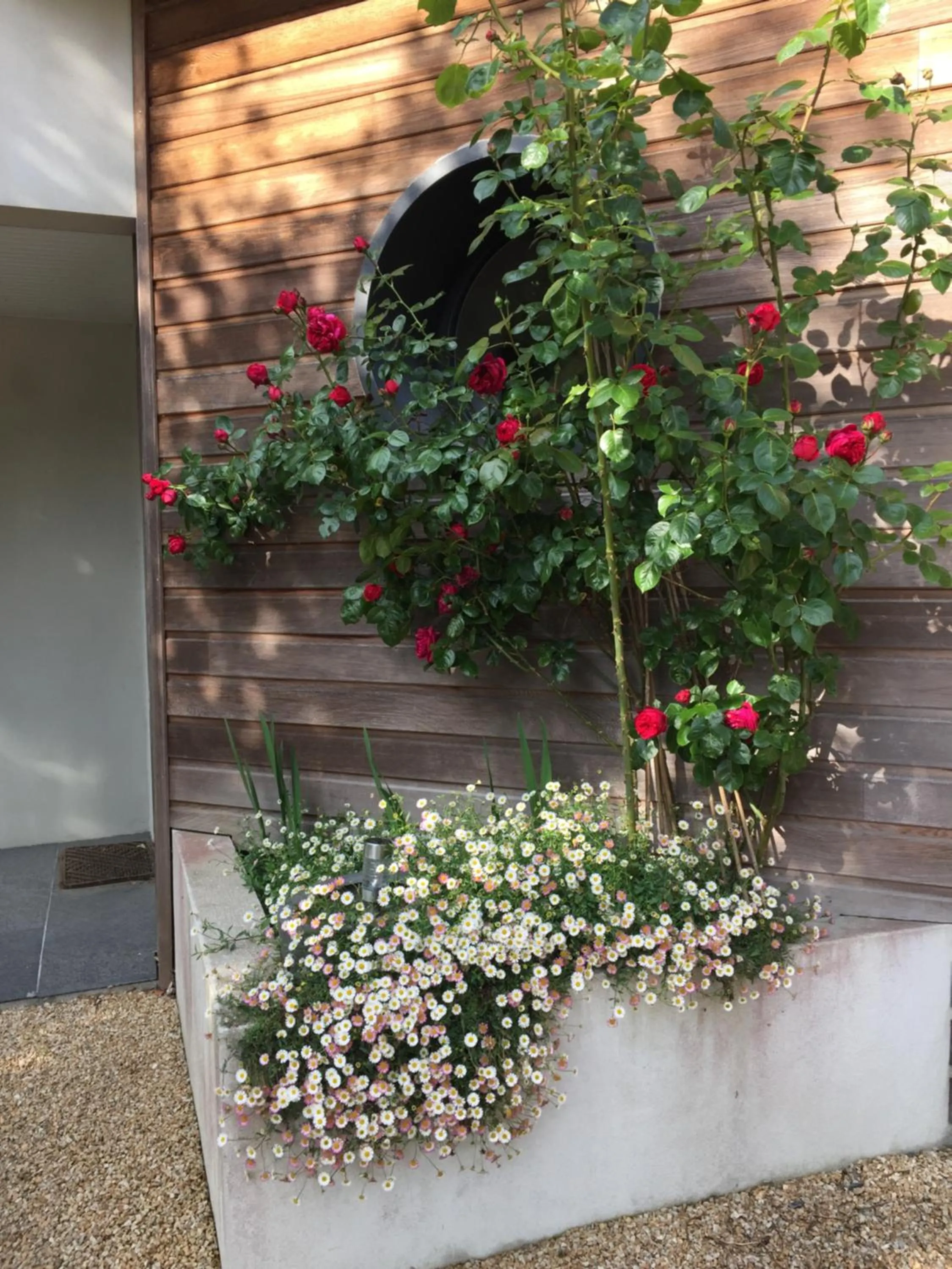 Garden in La Belle Relax - calme et tranquillité assurés - 2 personnes