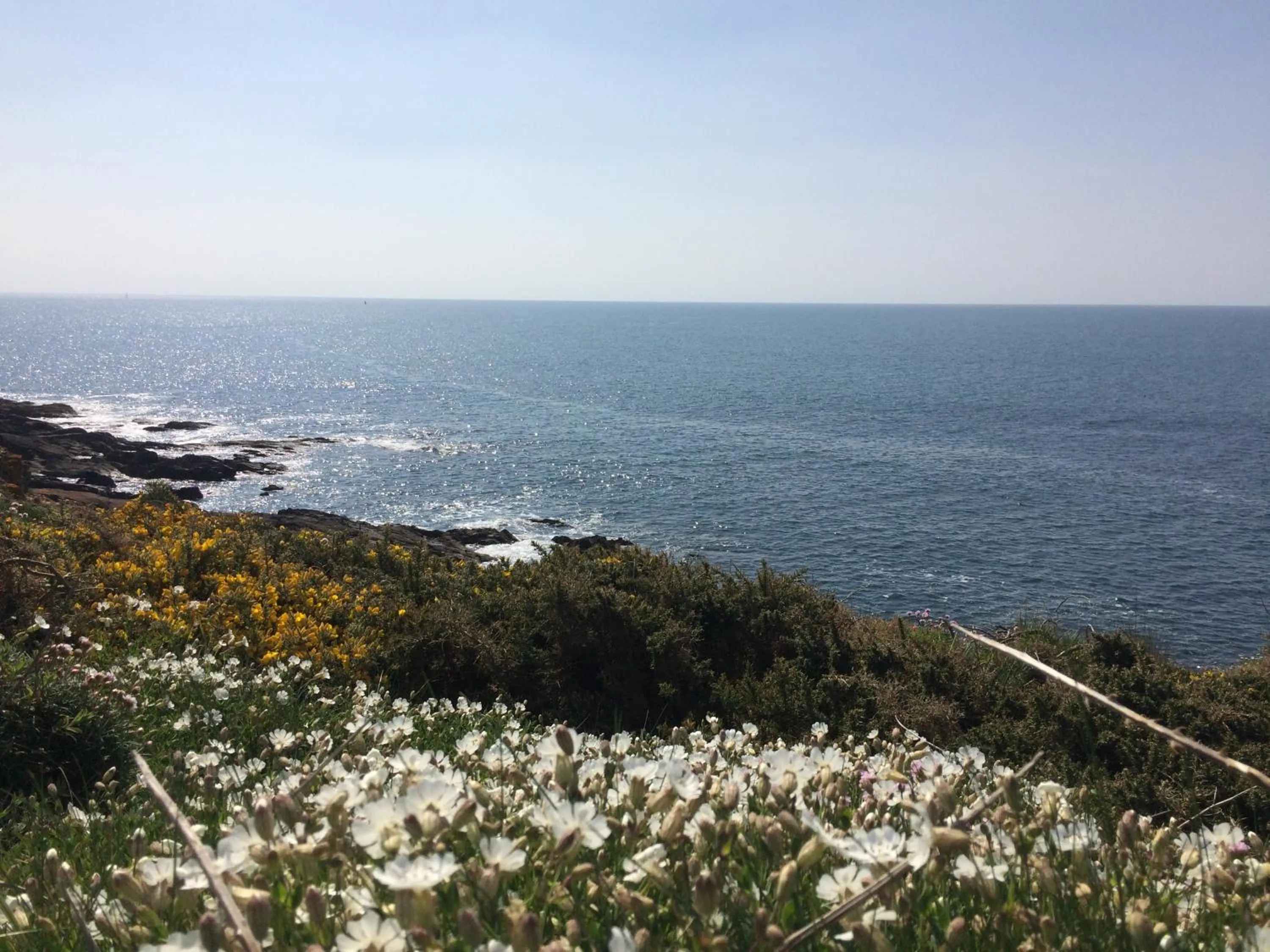 Natural landscape in La Belle Relax - calme et tranquillité assurés - 2 personnes