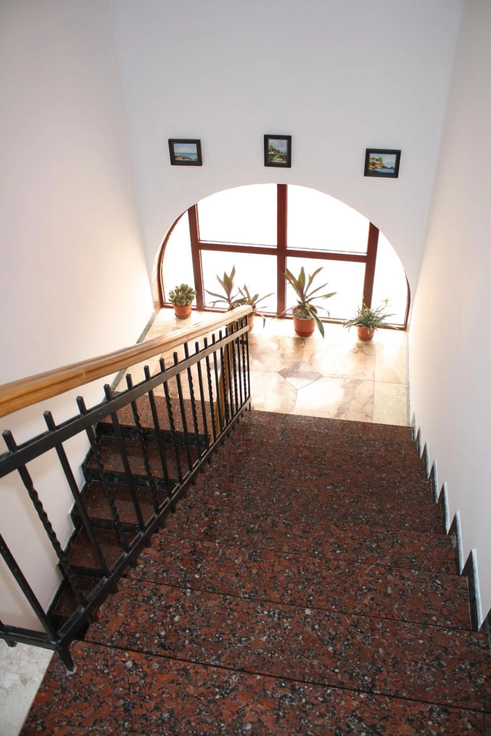 Garden in VILLA PEPETO Durres Albania