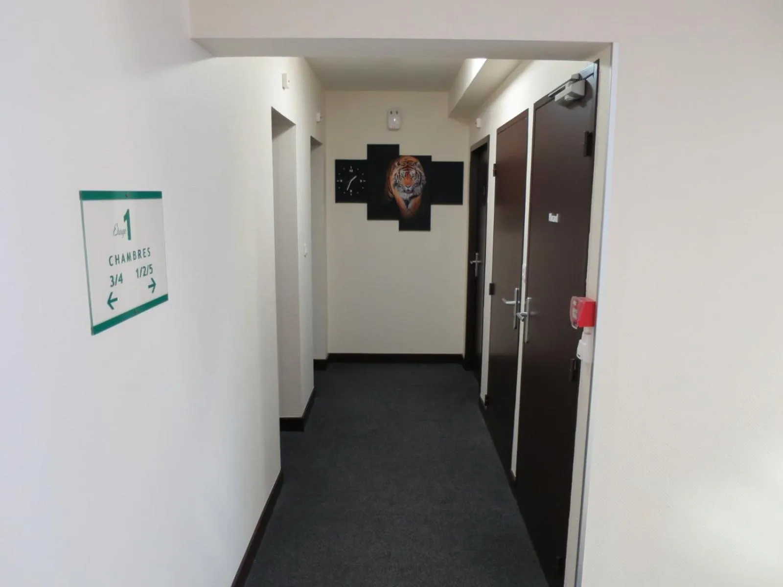 Area and facilities in Hotel de la Paix