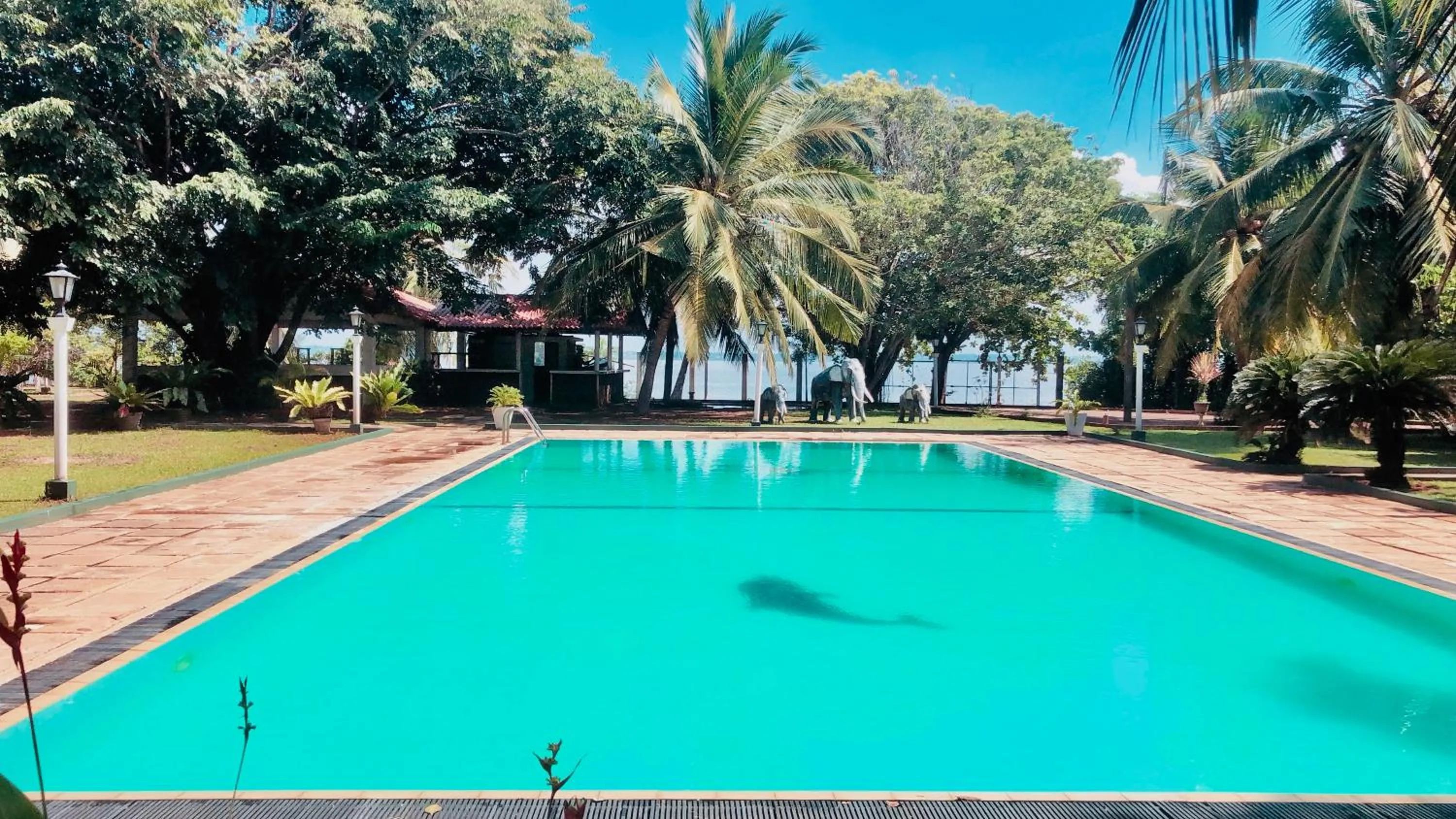 Hotel Lagoon Paradise