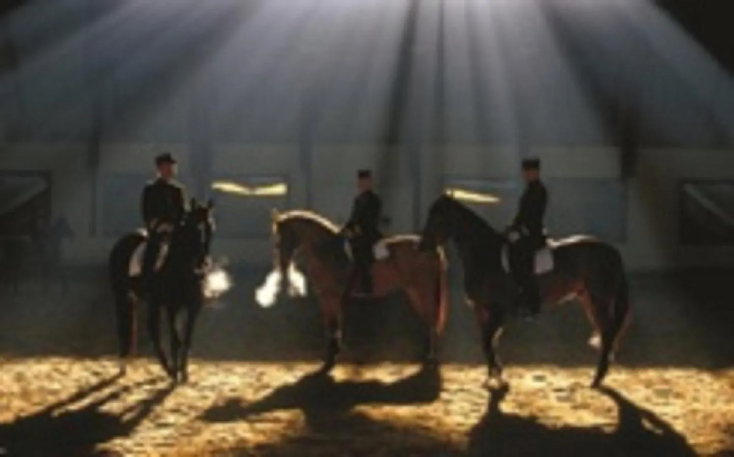 Activities in Le Petit Hureau