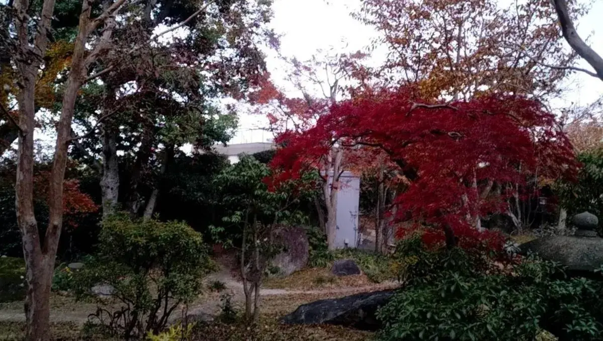 Garden view in HOTEL DO-YA BEPPU Hanare Garden view in HOTEL DO-YA BEPPU Hanare