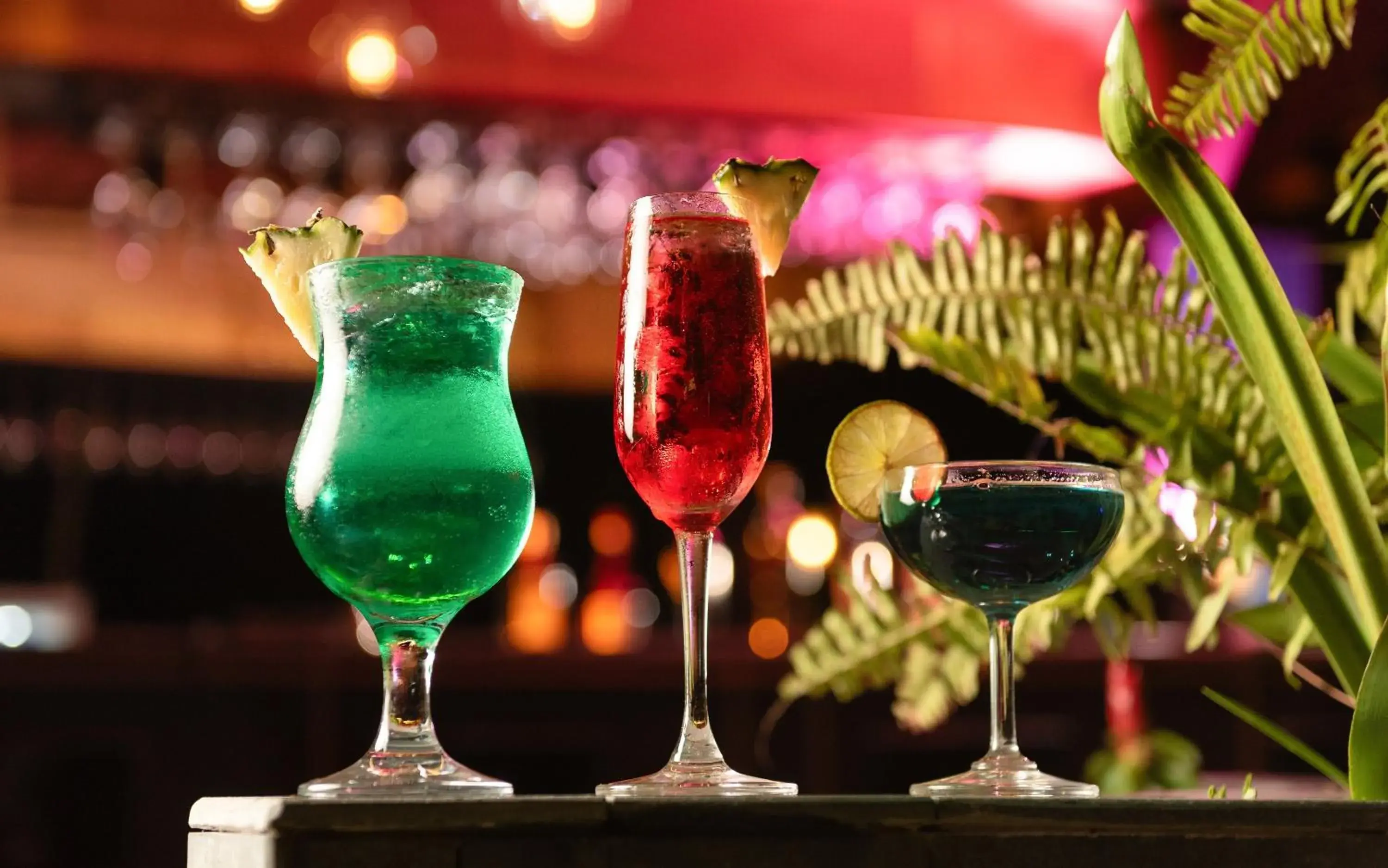 Lounge or bar in Harmony Indochine d'Angkor Lounge or bar in Harmony Indochine d'Angkor