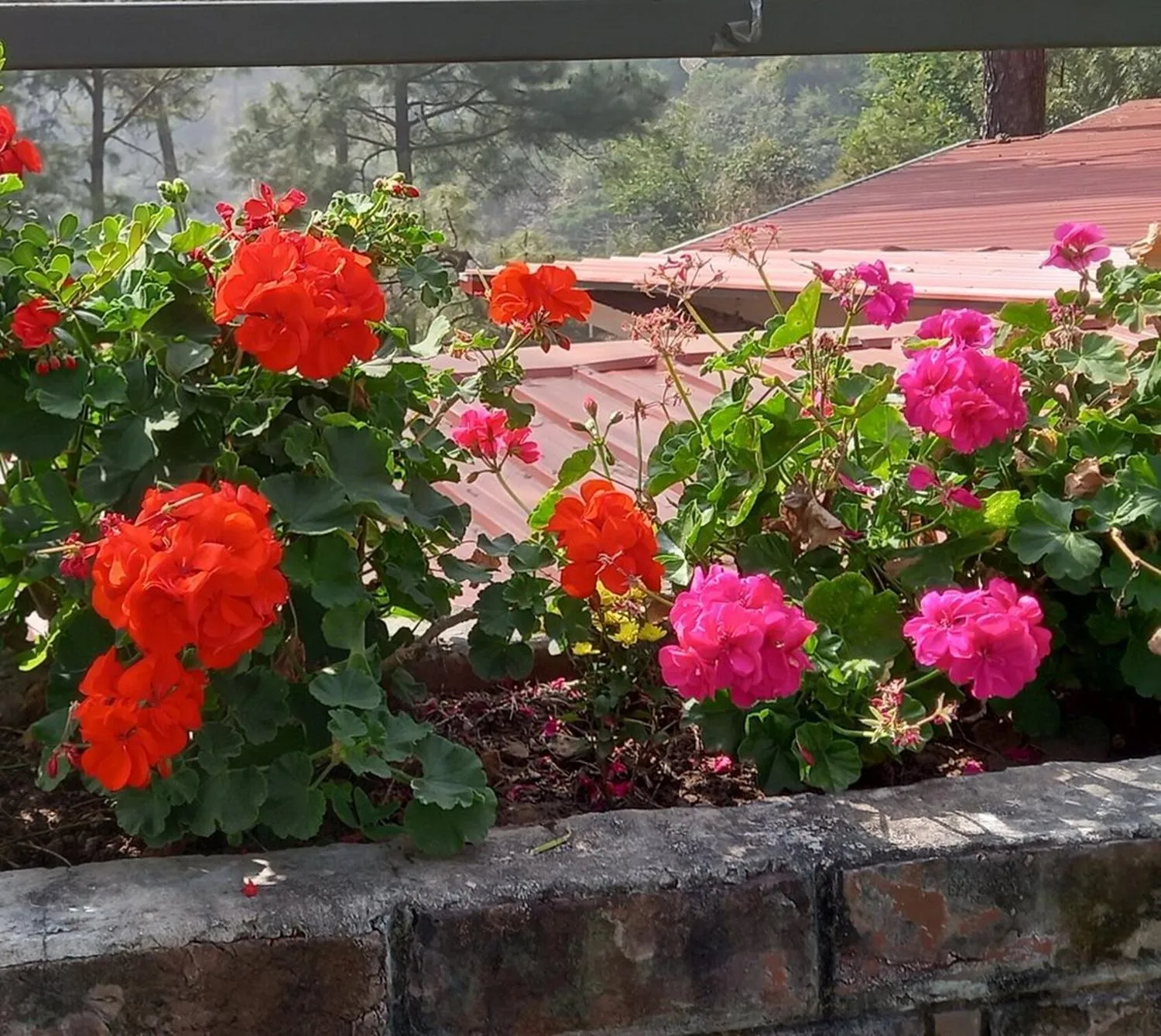 Property building in Storii By ITC Hotels, The Kaba Retreat, Solan