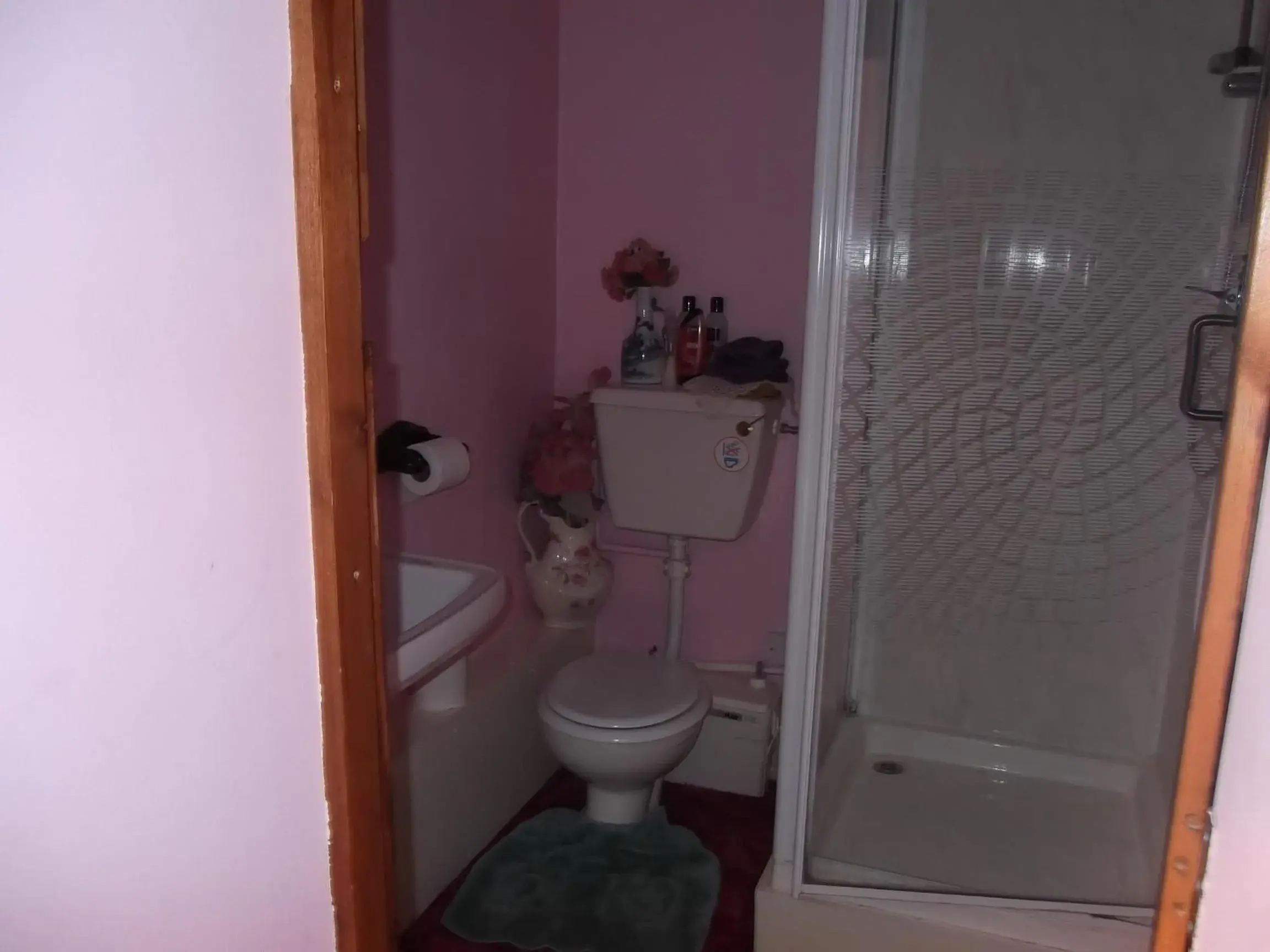 Toilet in East Farm House B&B Toilet in East Farm House B&B