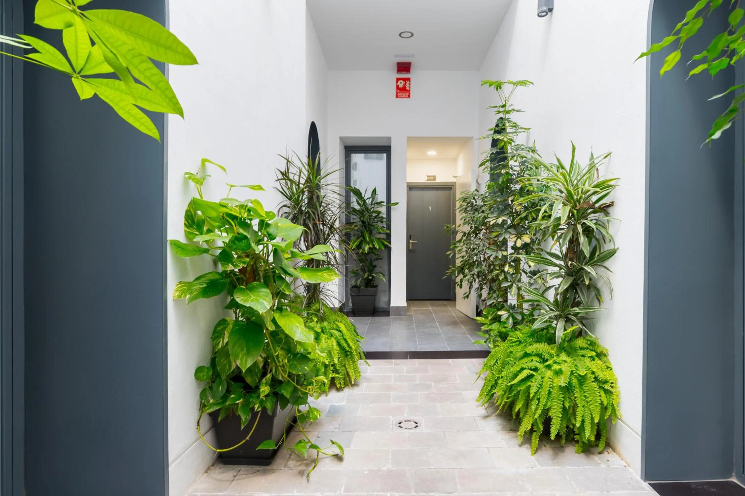 Garden in Posada de los Venerables