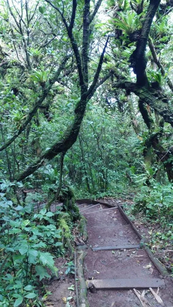 Hiking in Mombacho Lodge
