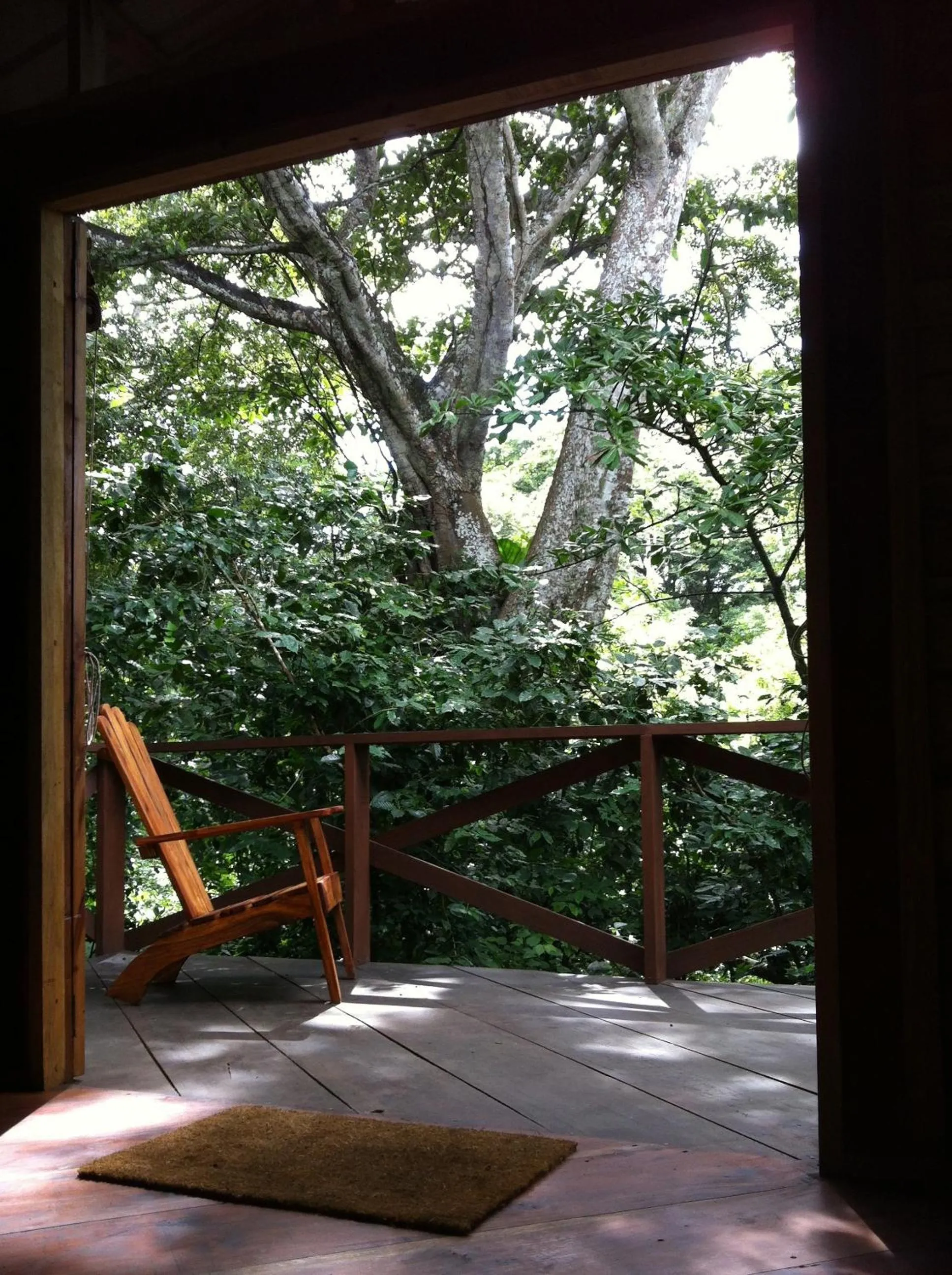 Garden view in Mombacho Lodge